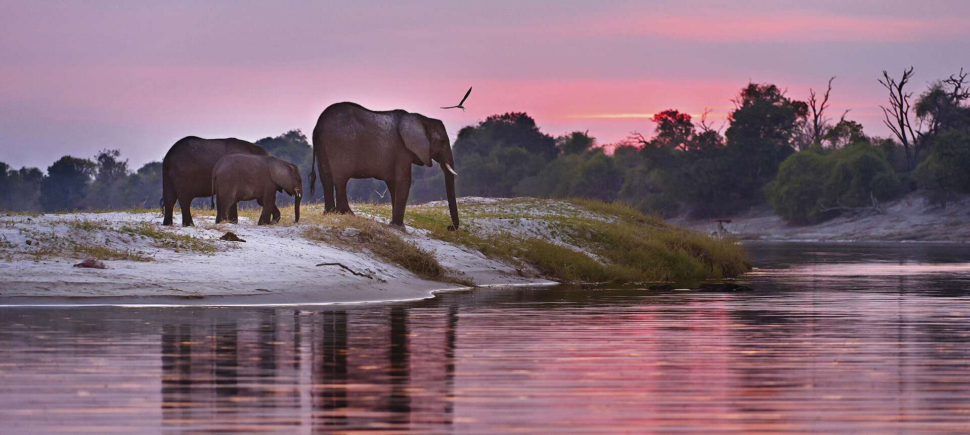 12-facts-about-botswana