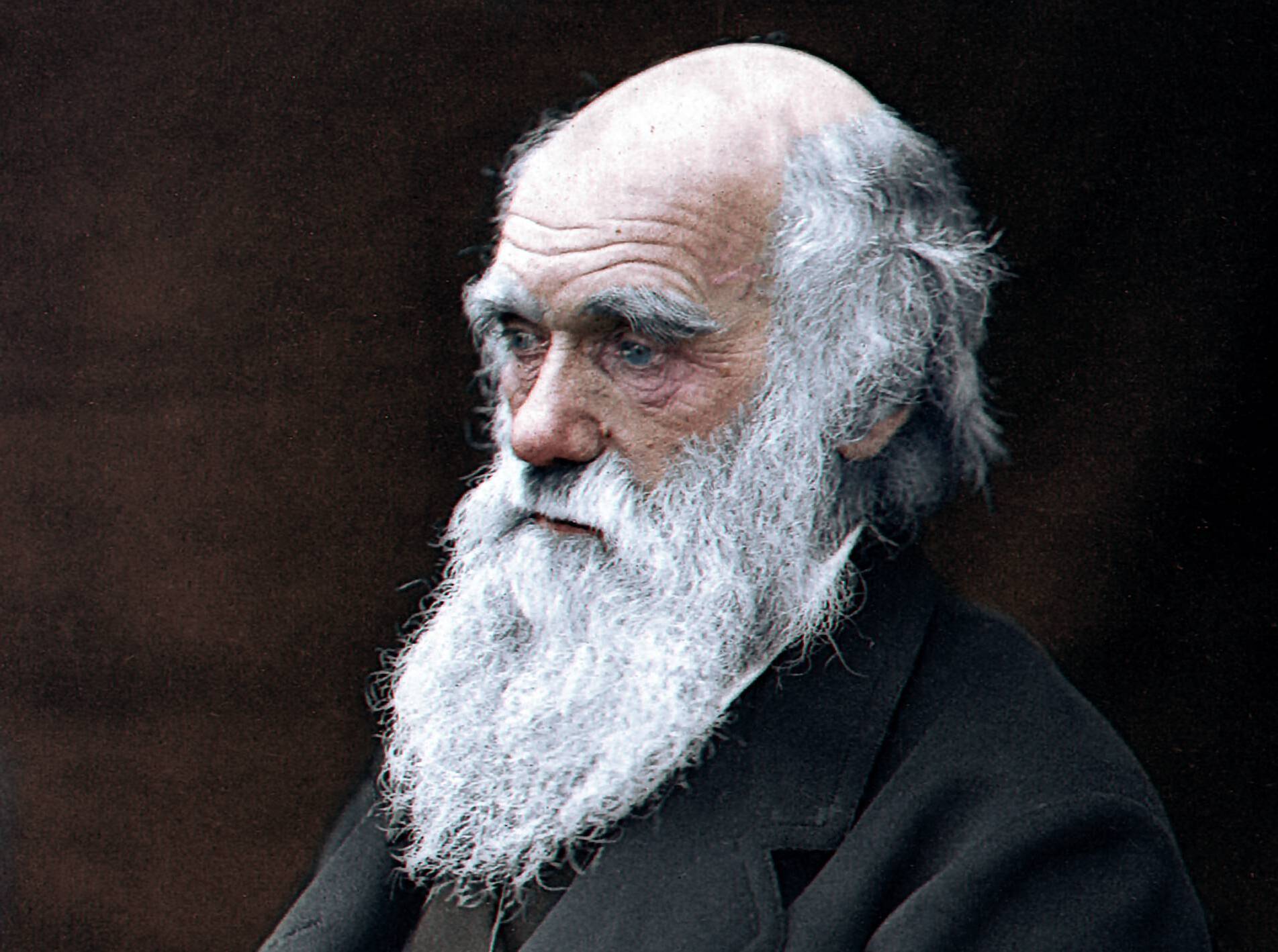 17-fascinating-facts-about-charles-darwin