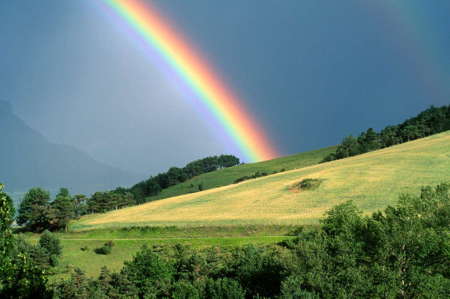 29 Facts About Rainbows - OhMyFacts