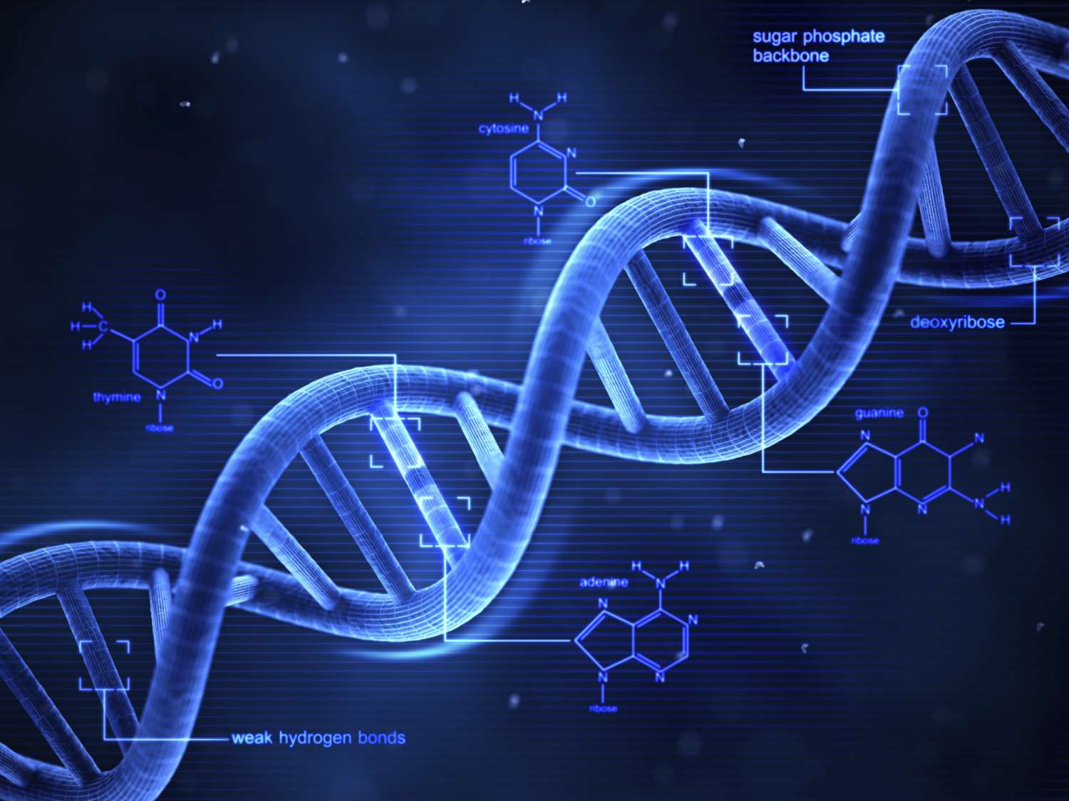 20-dna-facts-unraveled