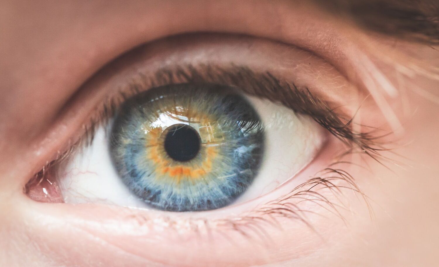 20-eye-opening-facts-about-human-vision