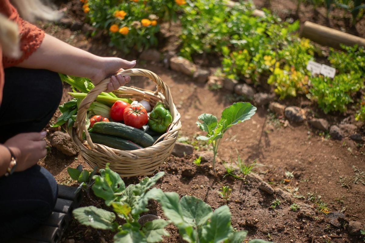 20-facts-about-gardening