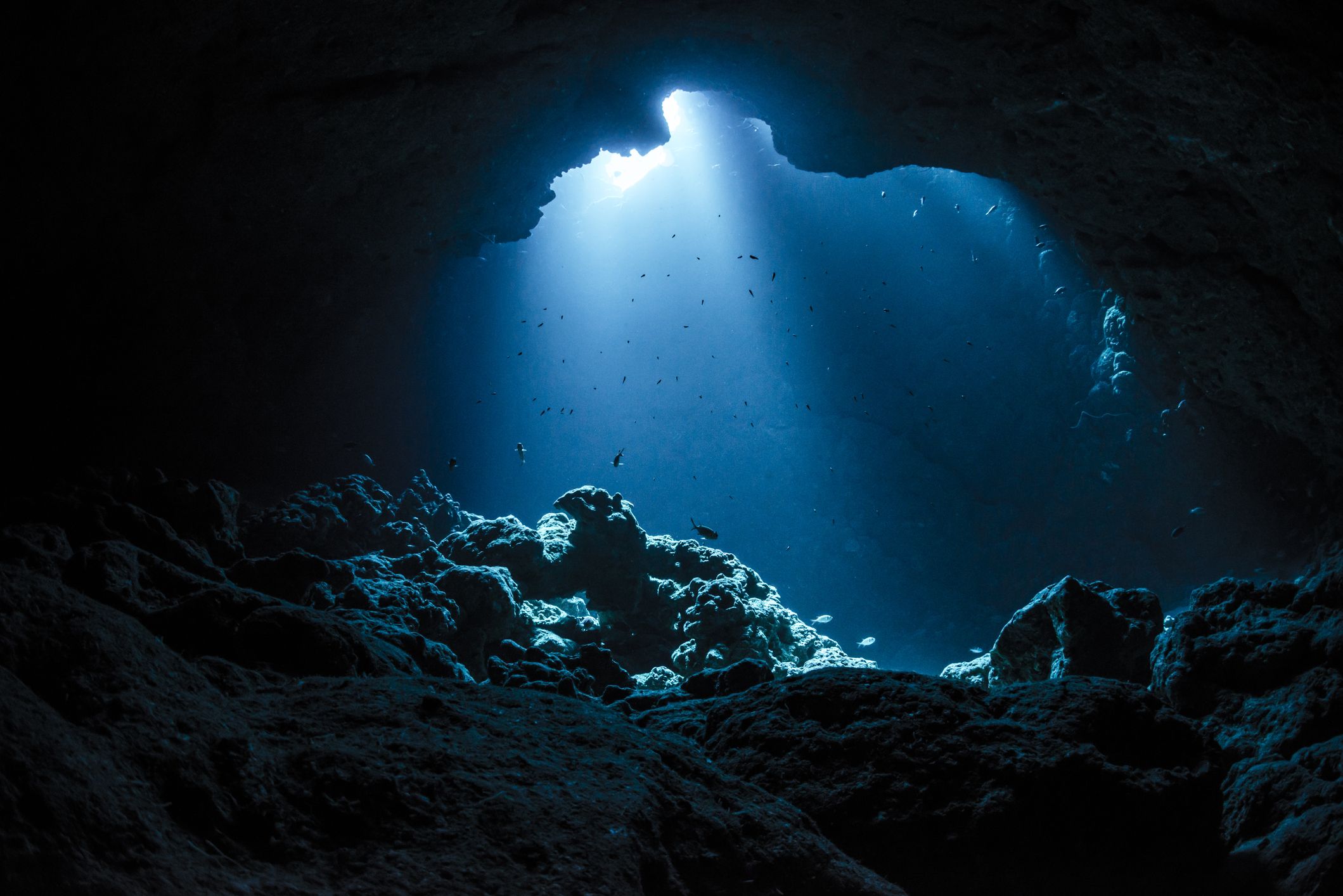 20-facts-about-the-ocean-depths