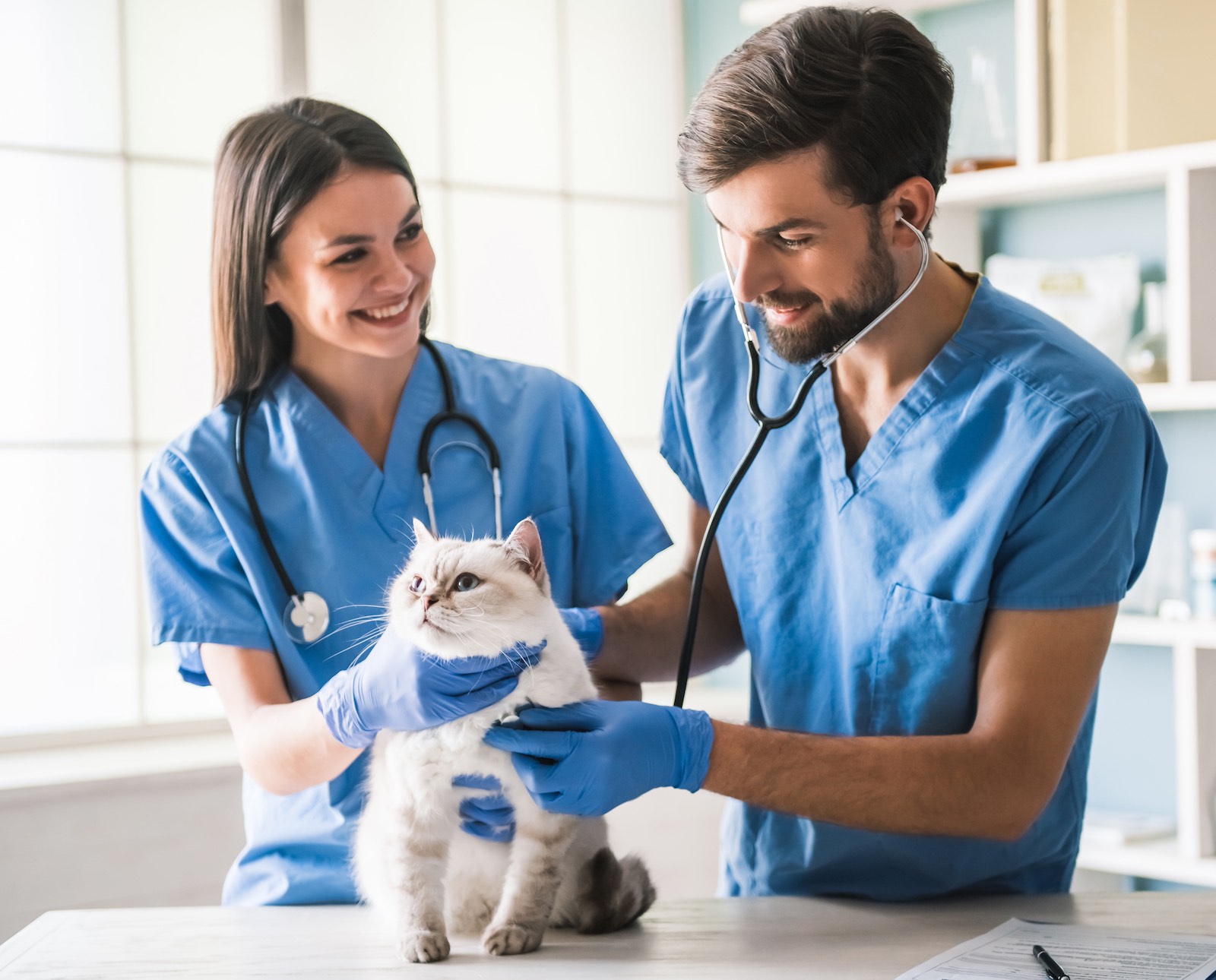 20-facts-about-veterinarians