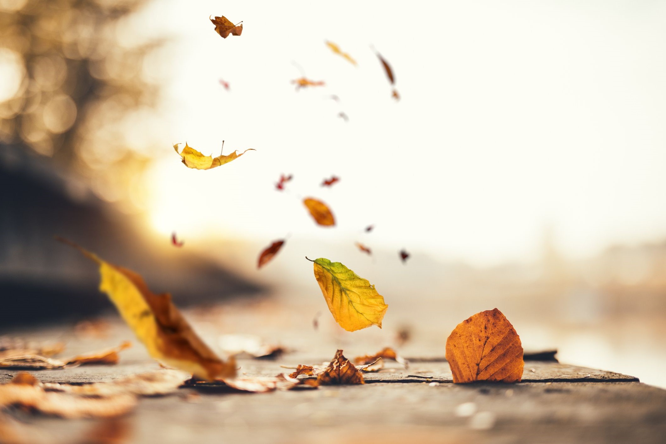 20-fascinating-facts-about-autumn-you-didnt-know