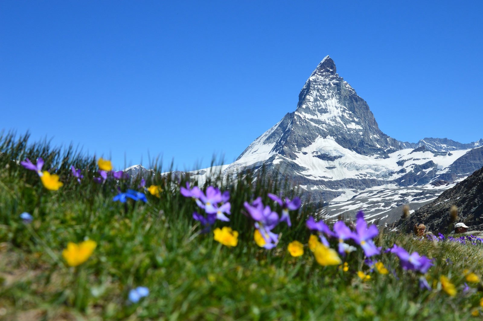 20-fun-facts-about-switzerland-you-must-know