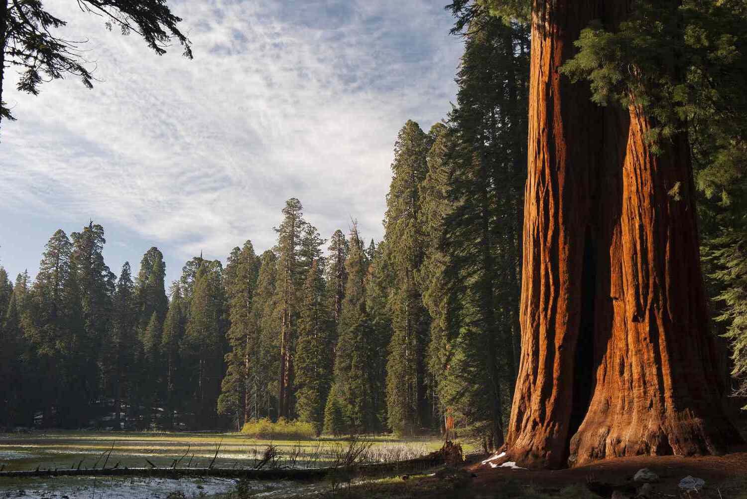 20-incredible-facts-about-national-parks-you-must-know