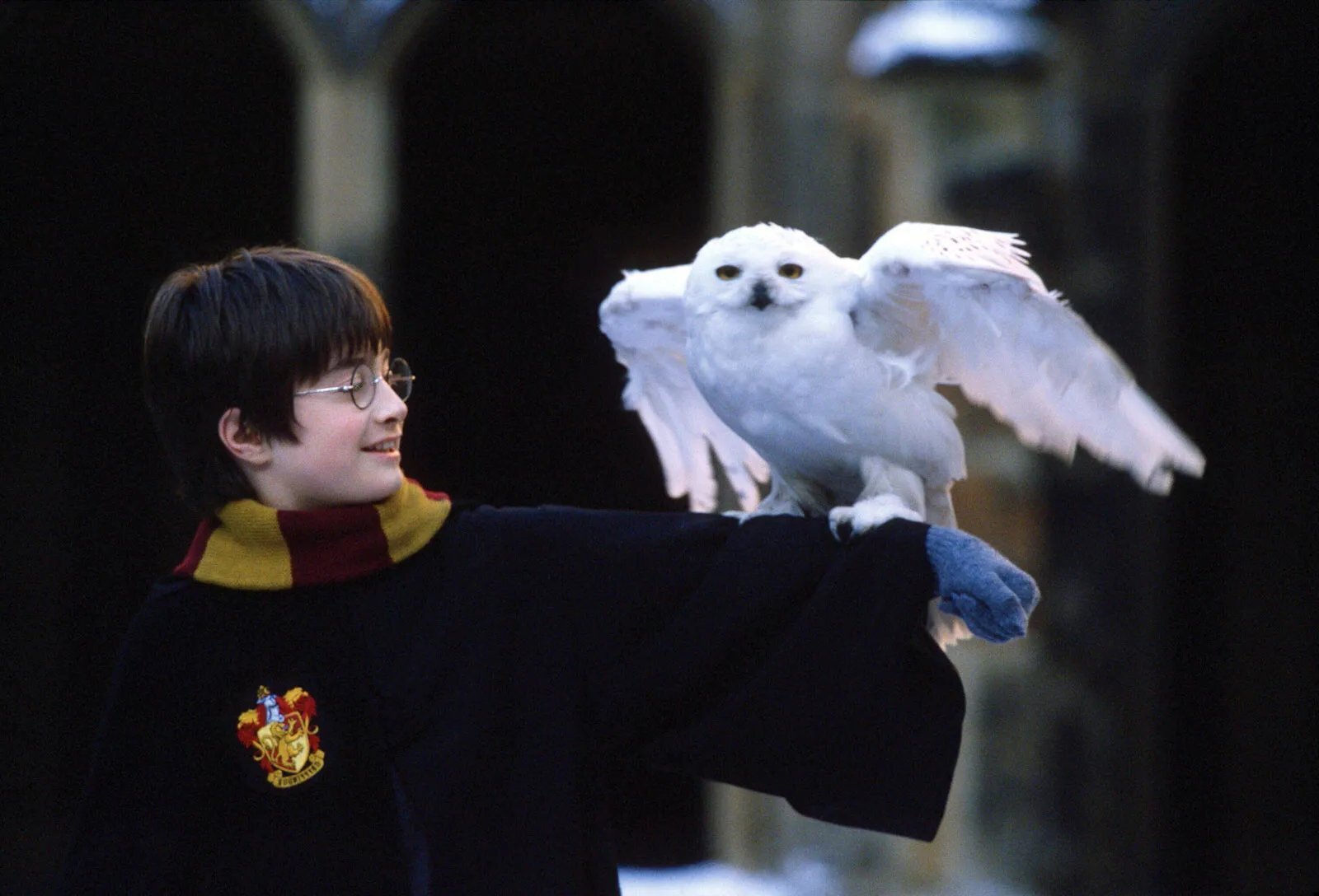 20-magical-facts-about-harry-potter-series