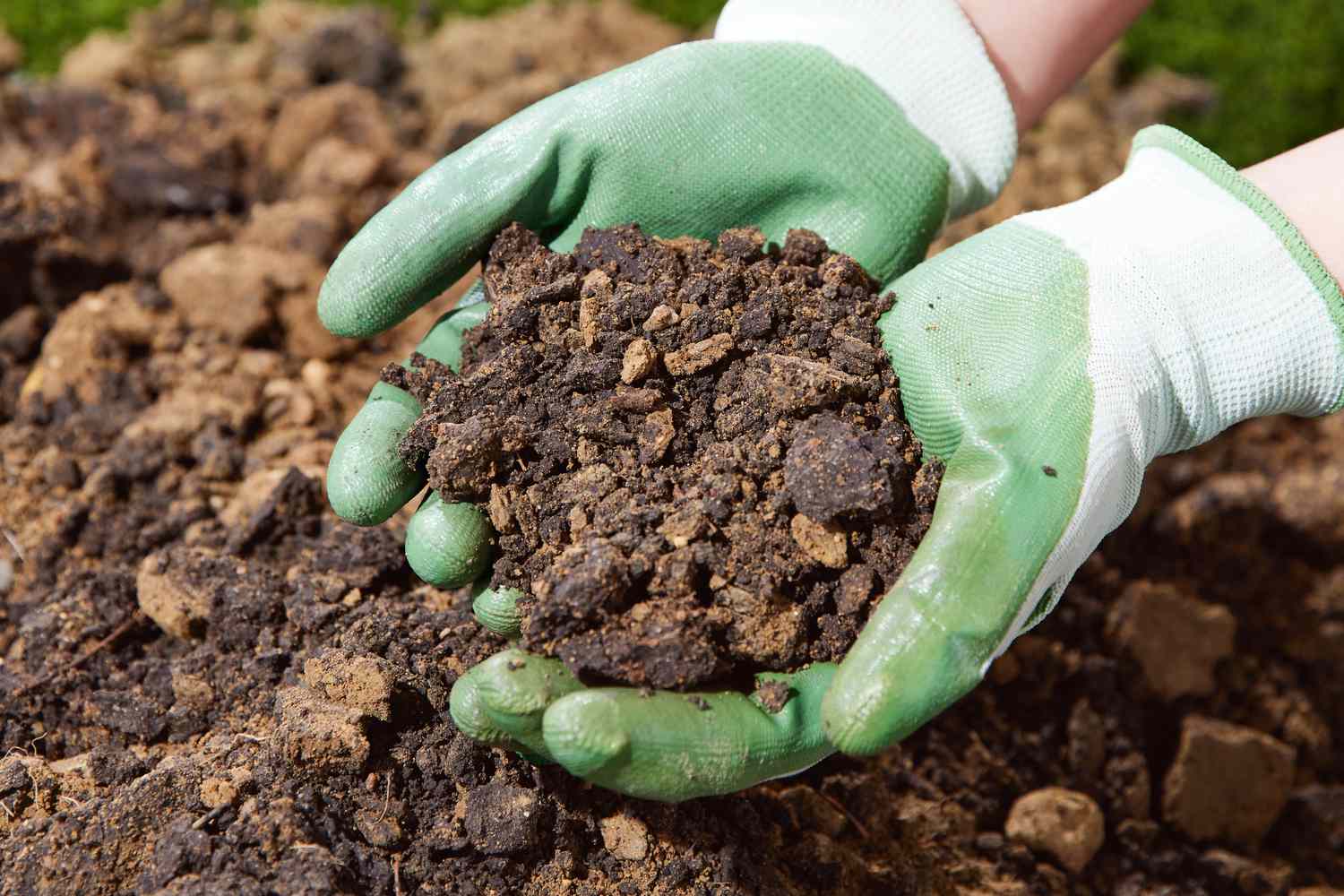 22 Facts About Soil - OhMyFacts