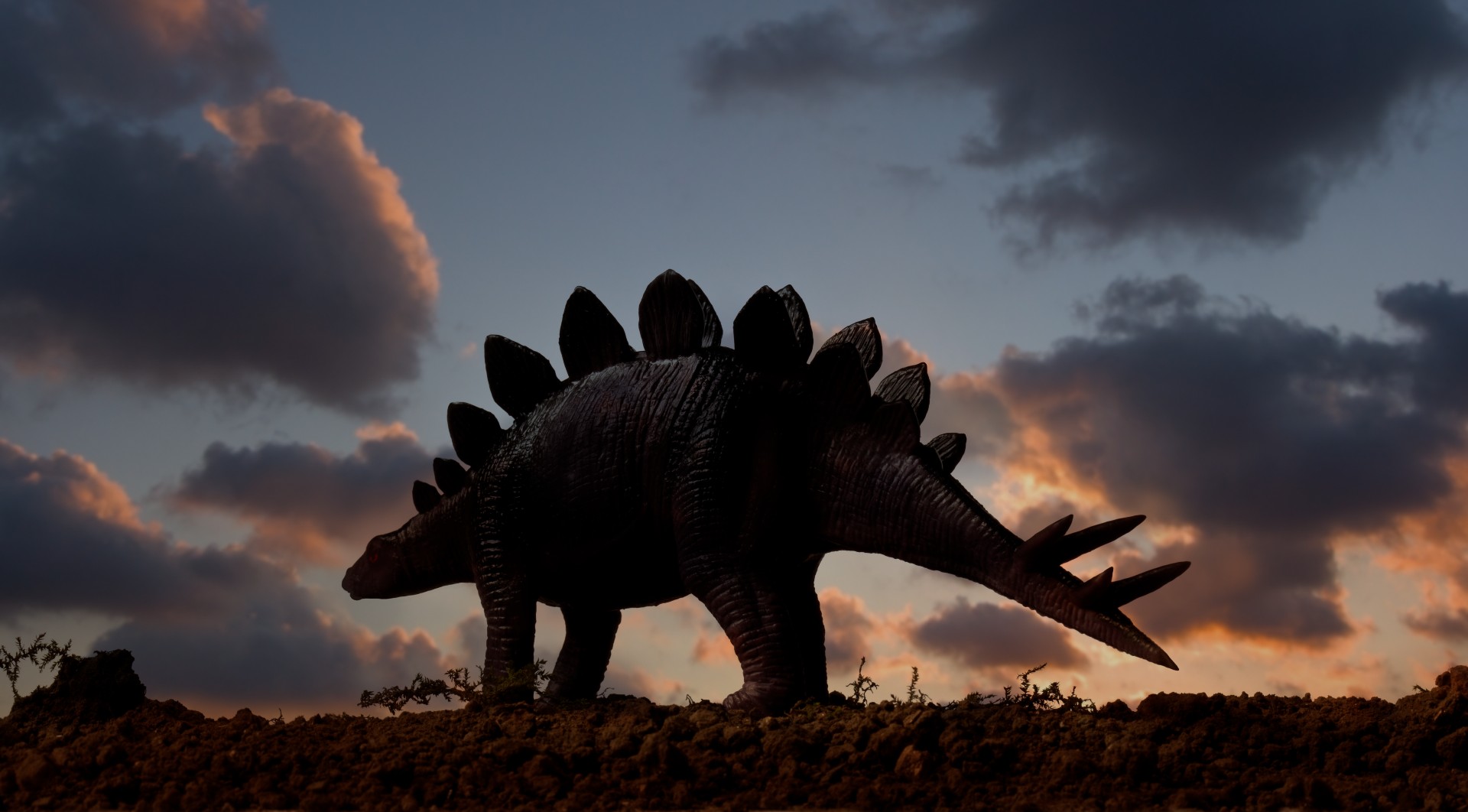20-stegosaurus-facts-for-dino-enthusiasts