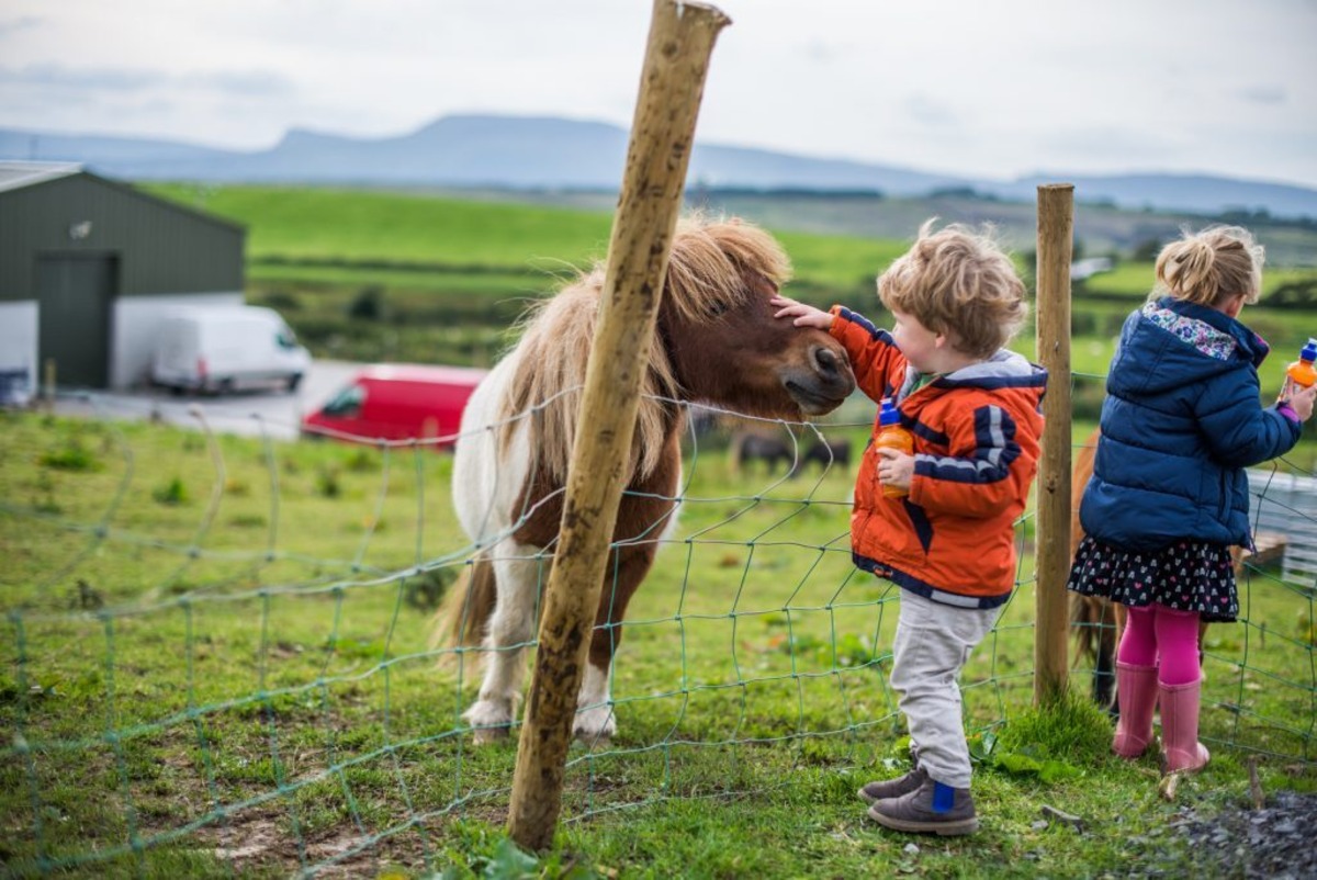 22-fun-facts-about-ireland-for-kids