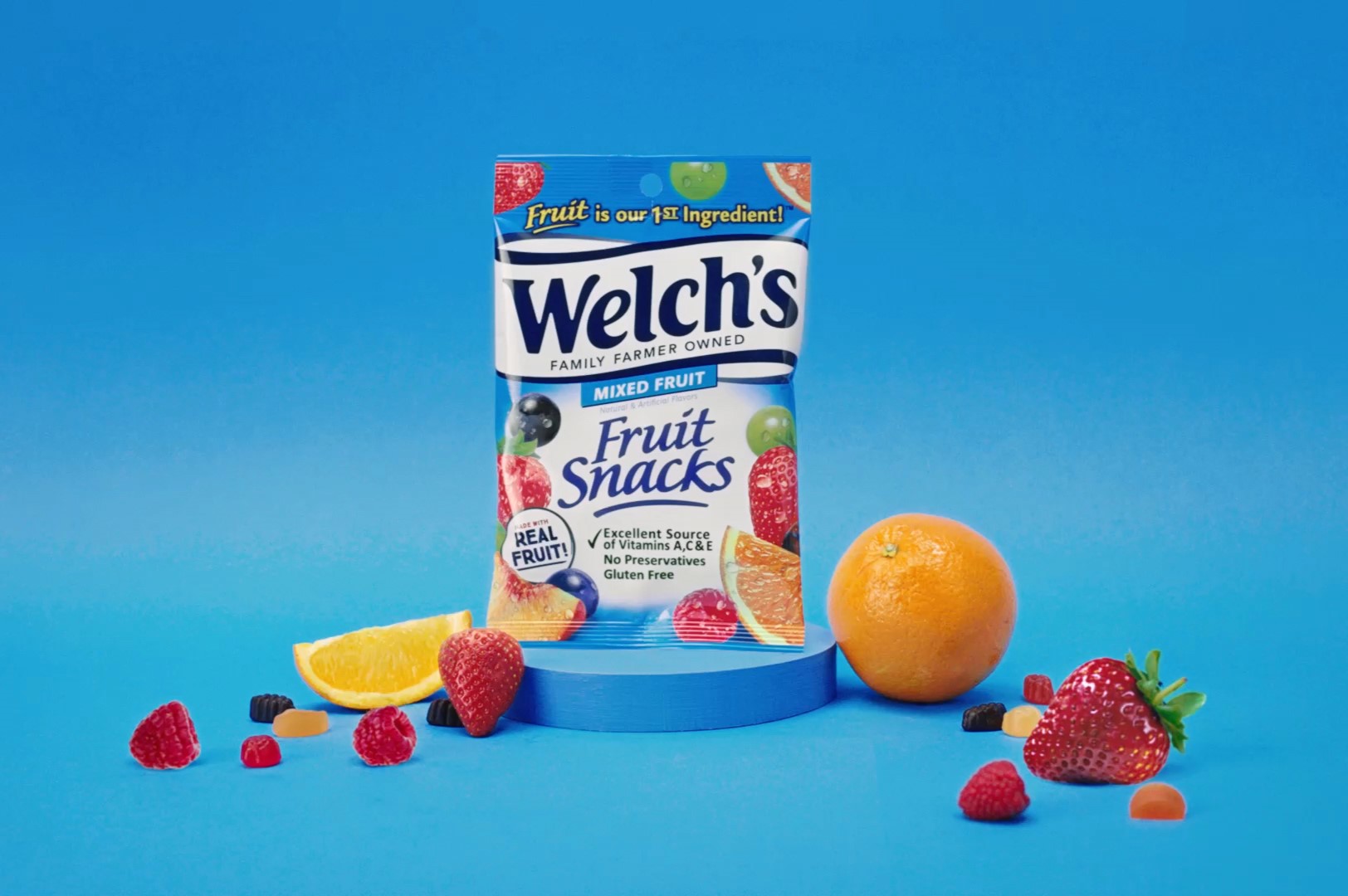 welch-s-fruit-snacks-van-wyk-confections