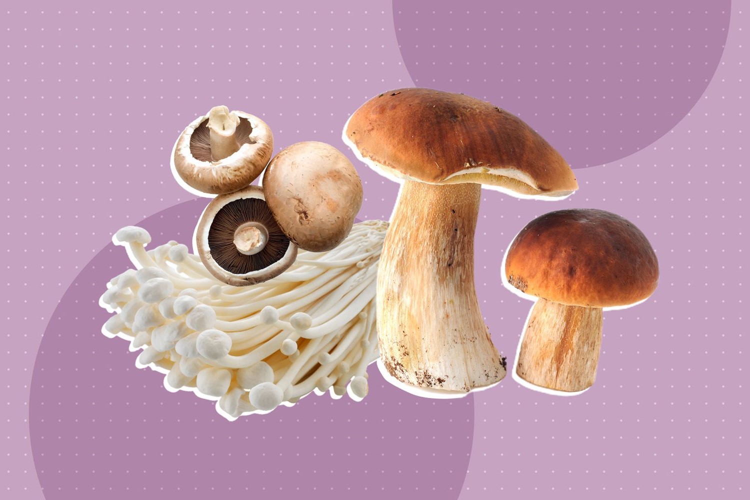 20-nutritional-facts-about-mushrooms-you-should-know