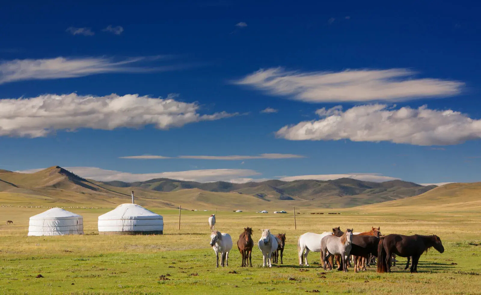 25-facts-about-mongolia