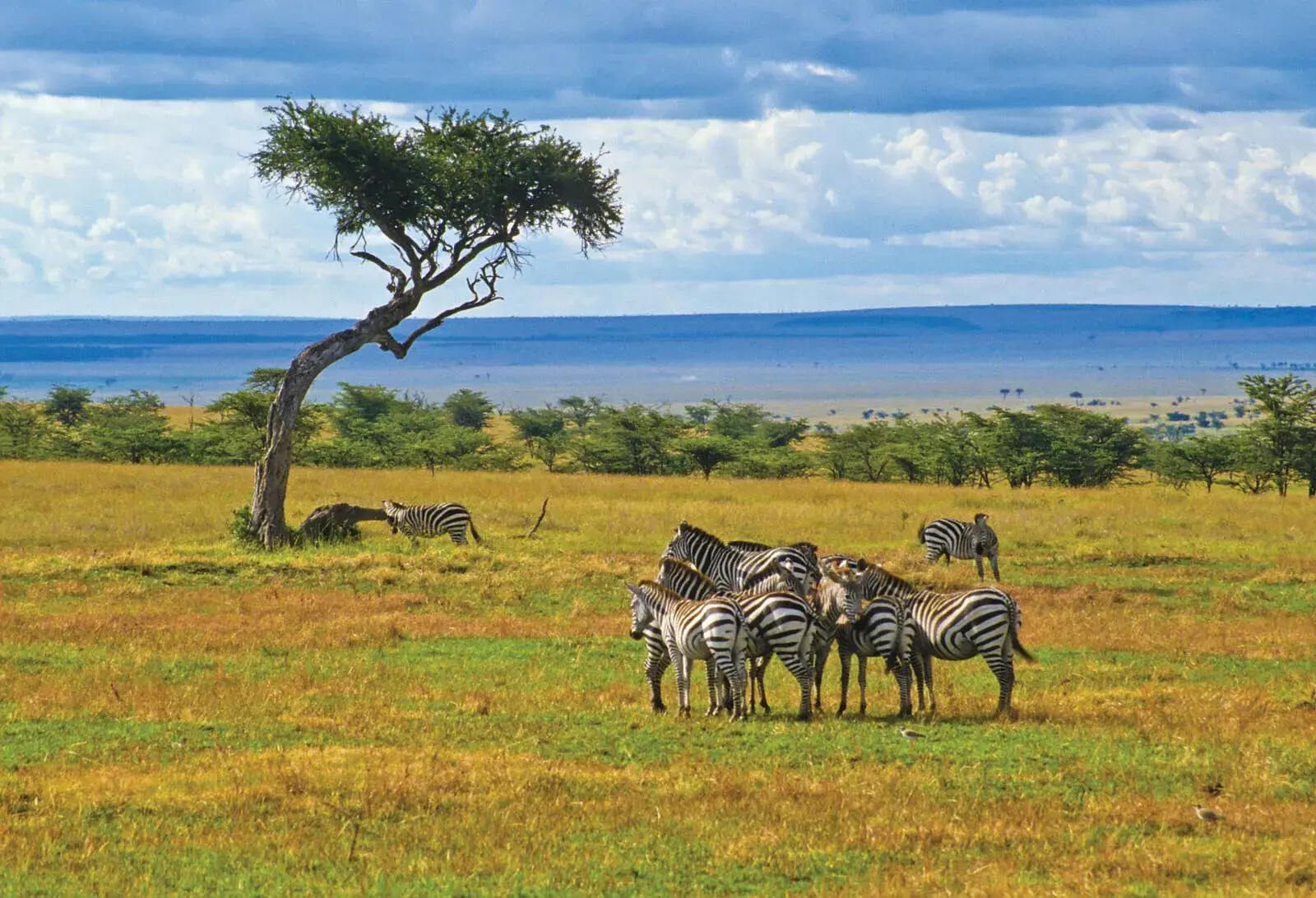 40-facts-about-kenya