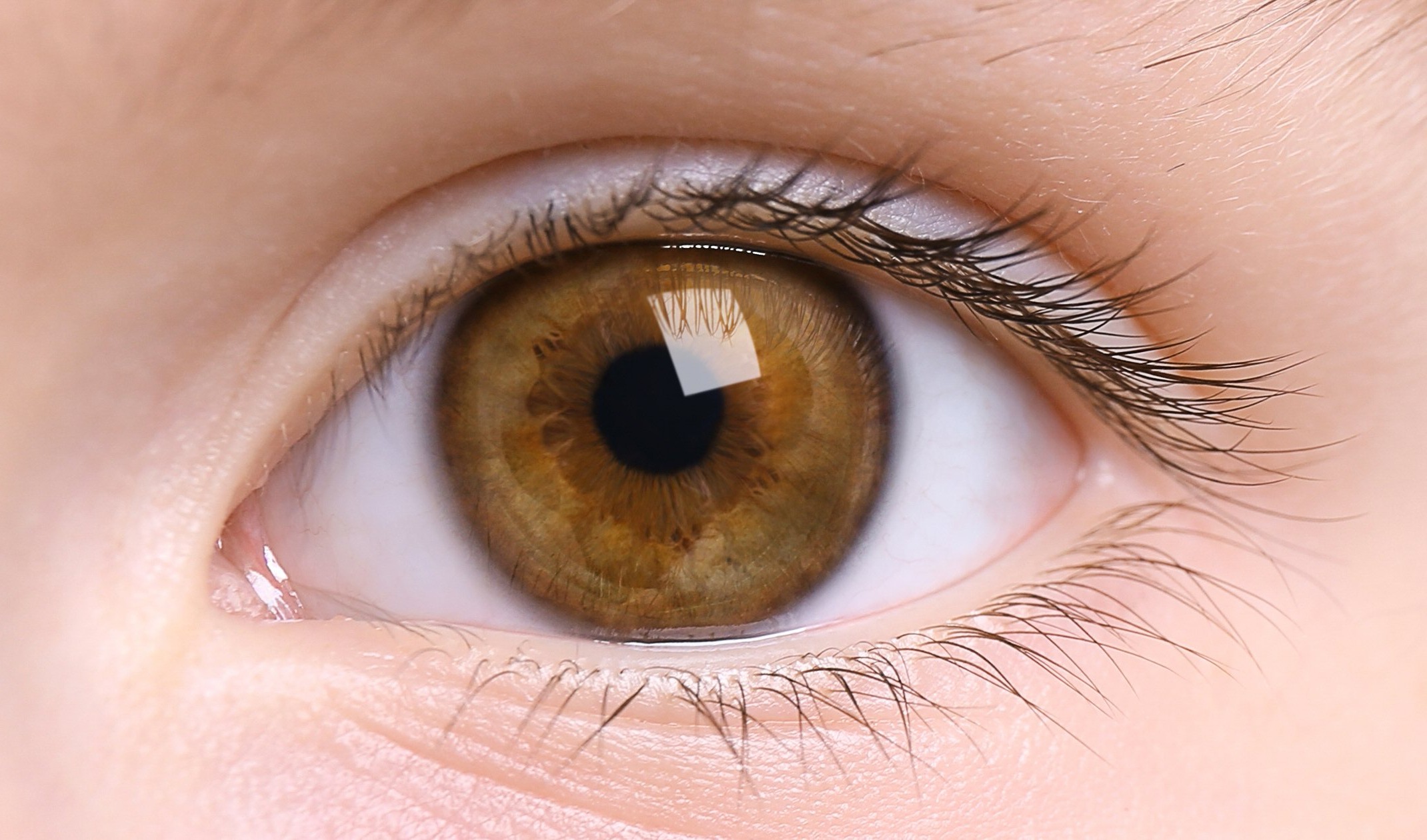 45-facts-about-eyes