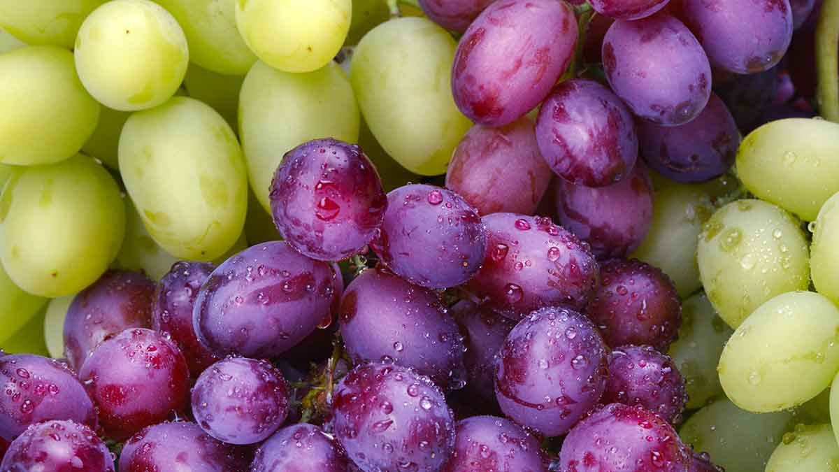 45-facts-about-grapes