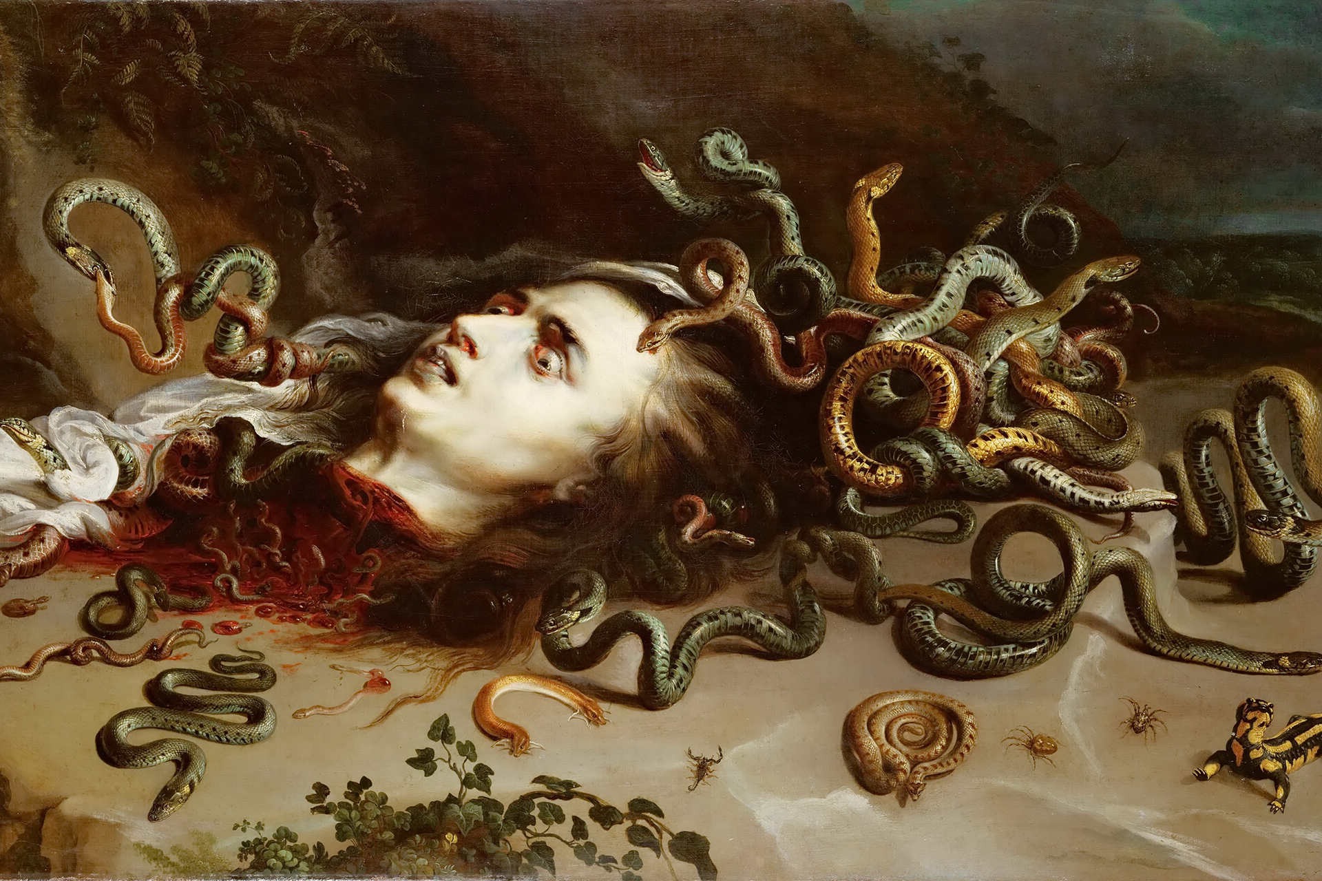 45-facts-about-medusa