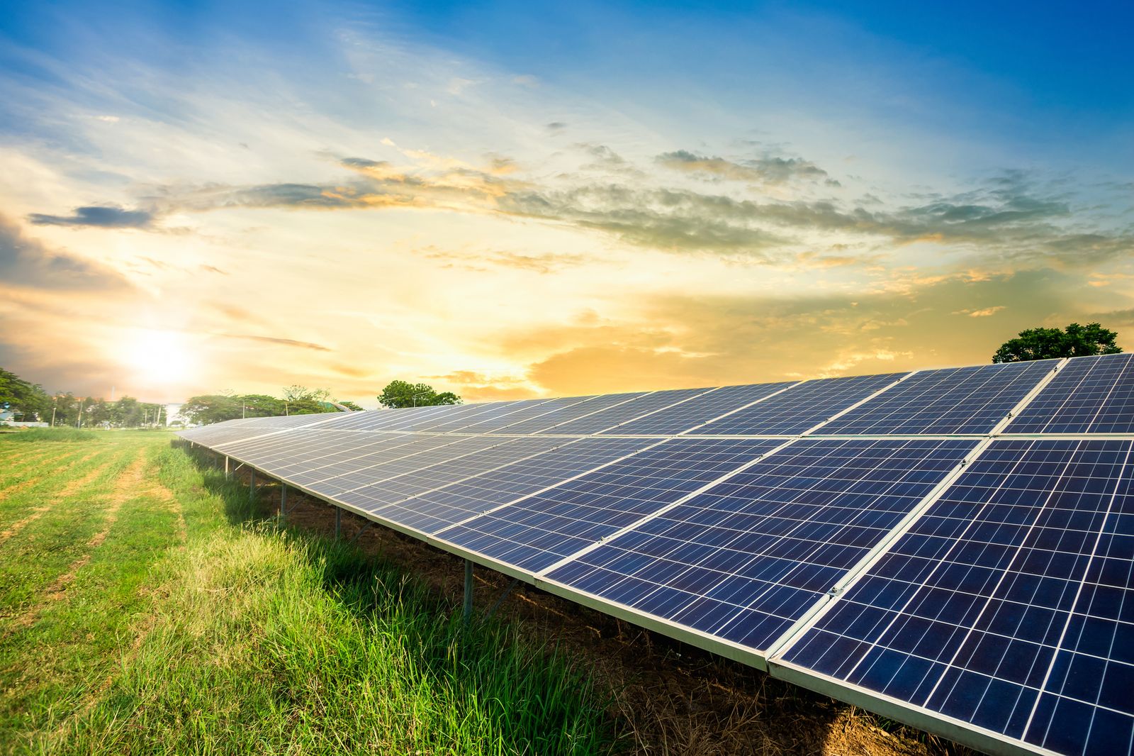 45 Facts About Solar Energy - OhMyFacts