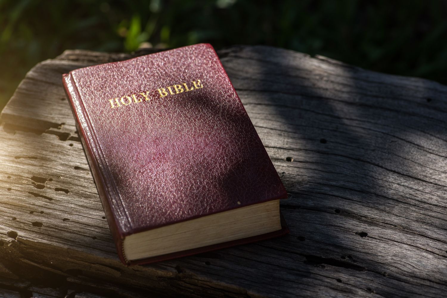 45-facts-about-the-bible