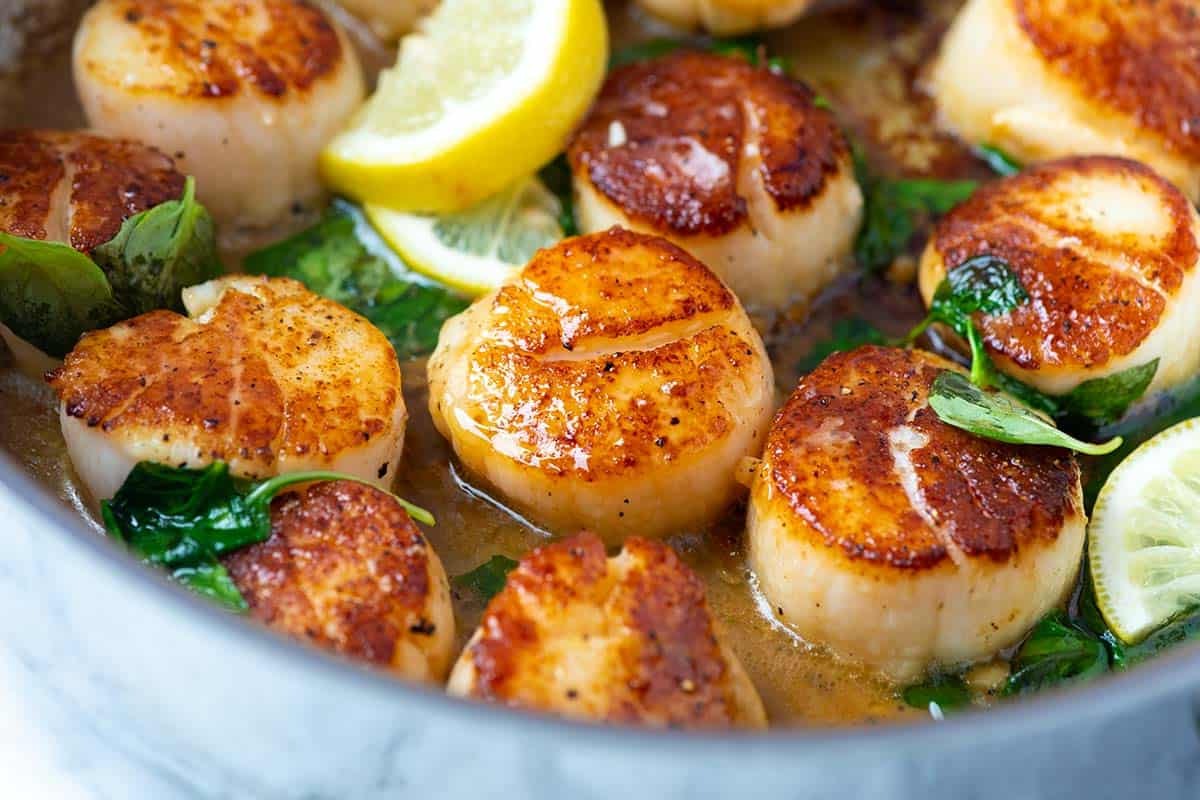 45 Facts About The Health Benefits Of Scallops - OhMyFacts