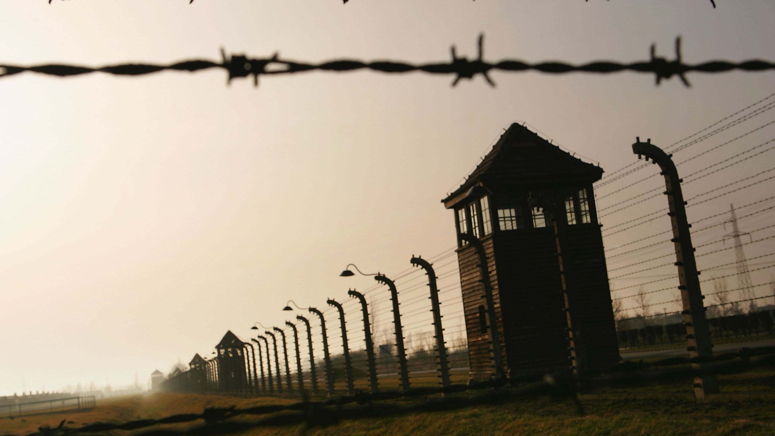 45-facts-about-the-holocaust