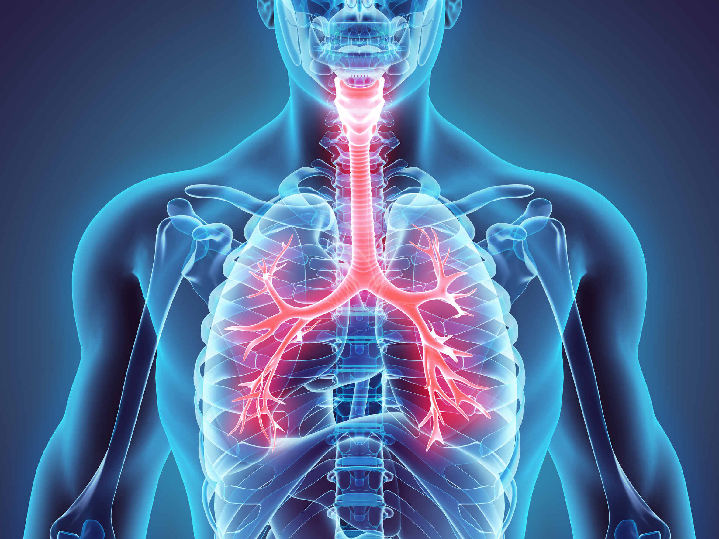 45-facts-about-the-respiratory-system