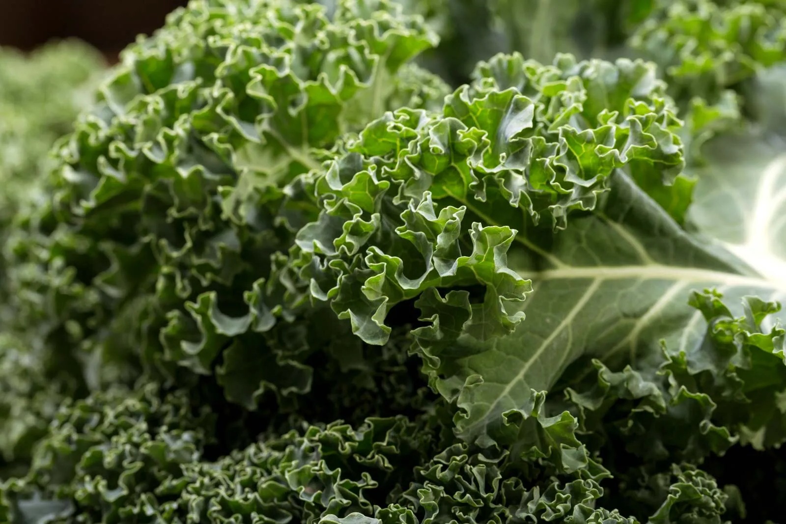 45 Kale Nutrition Facts - OhMyFacts