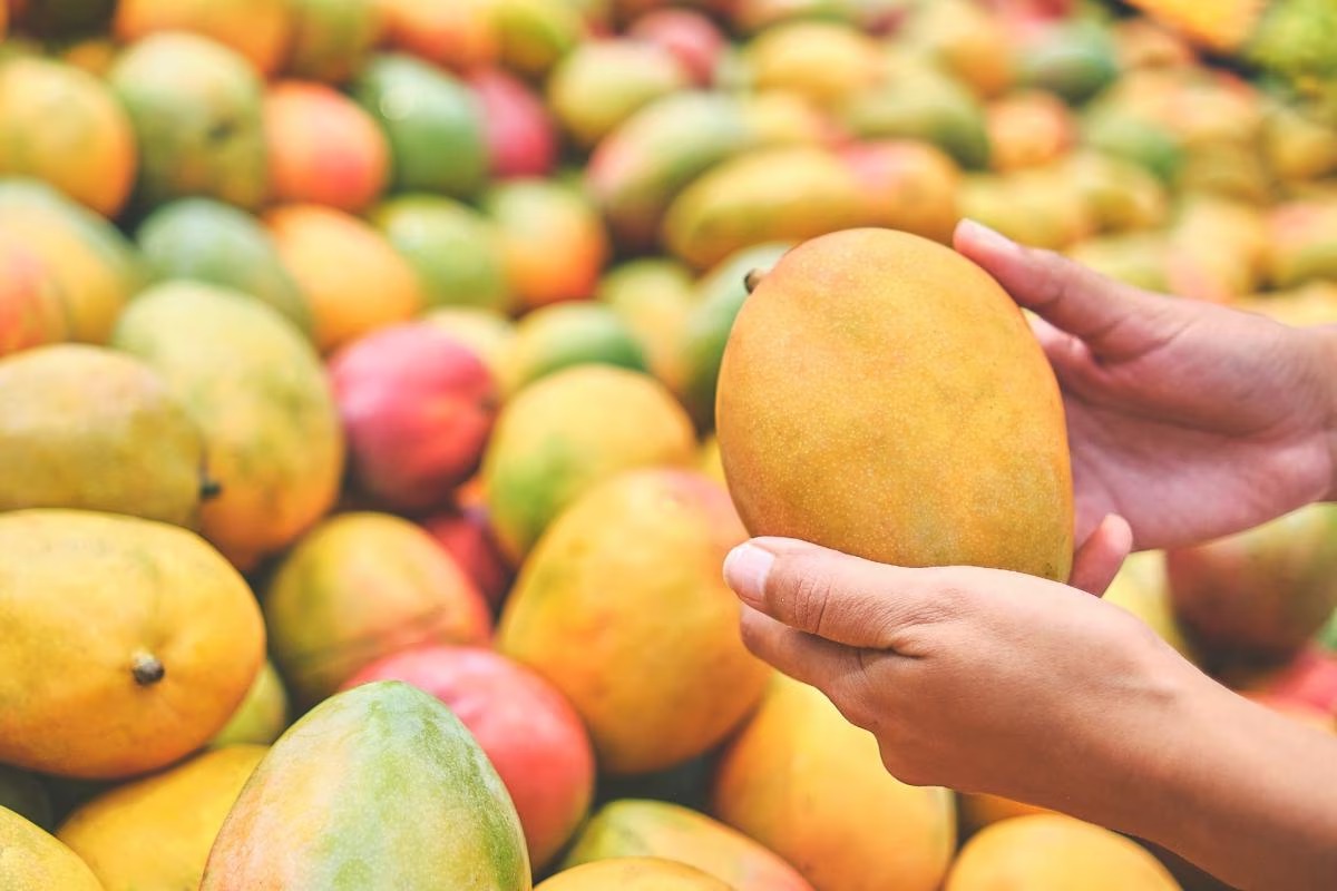 45 Mango Nutrition Facts - OhMyFacts