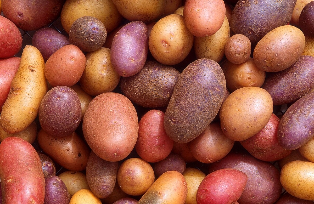 45-potato-nutrition-facts