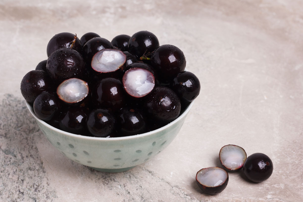 15-facts-about-jabuticaba