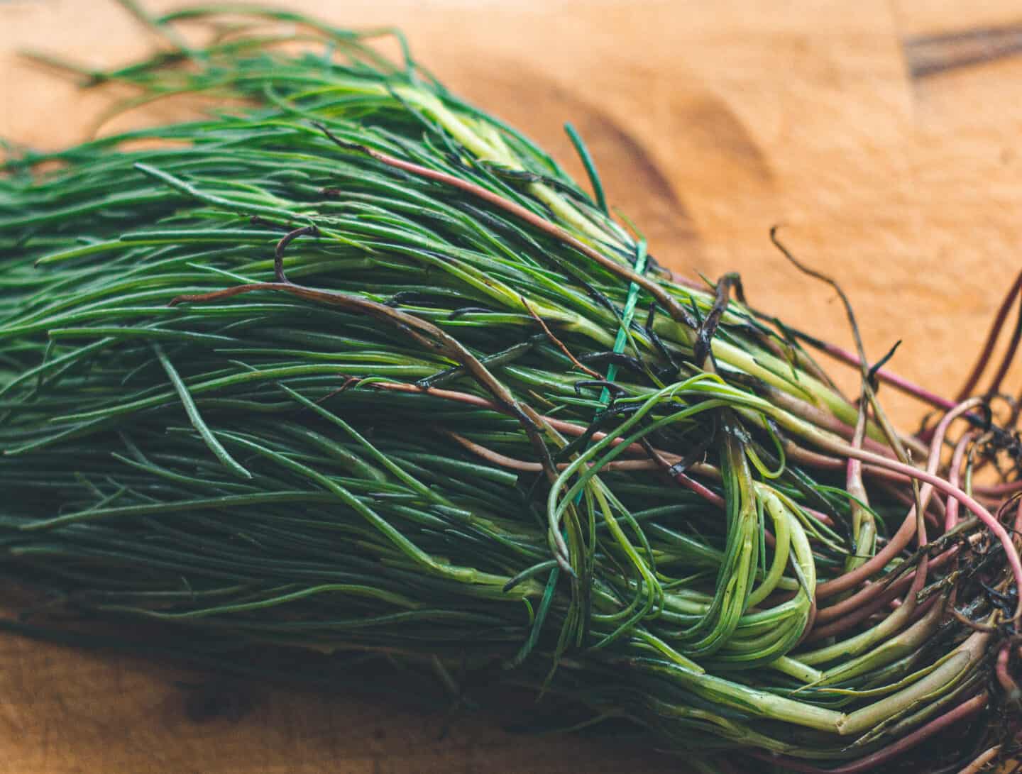 15-facts-about-monks-beard