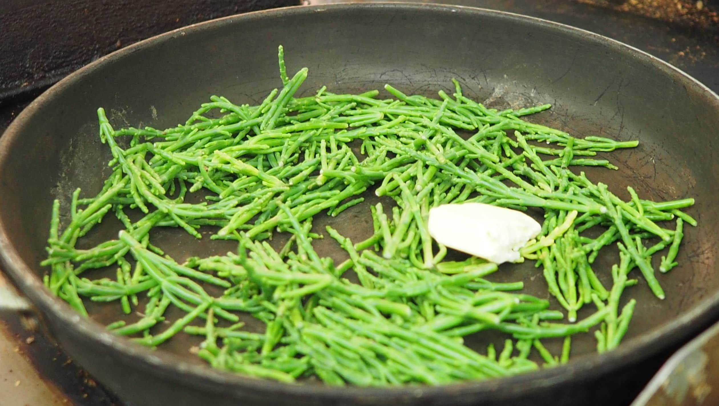 15 Facts About Marsh Samphire - OhMyFacts