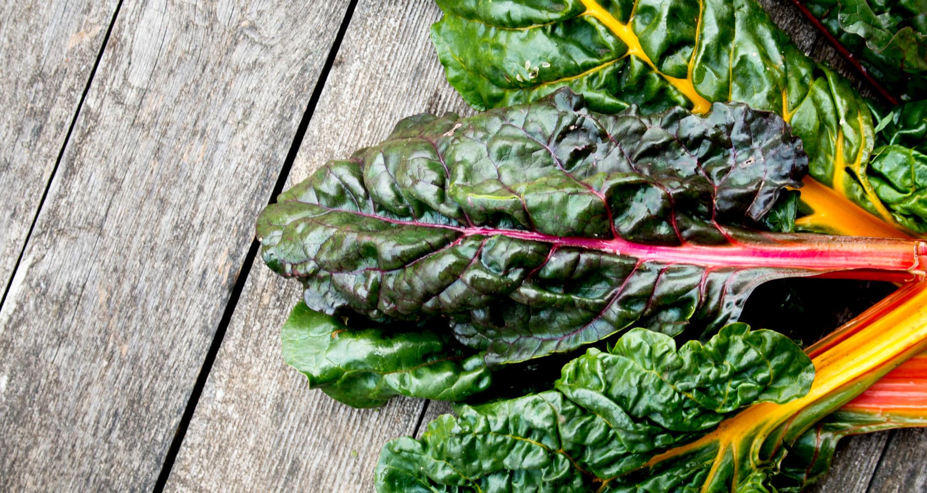 15-facts-about-seakale-beet