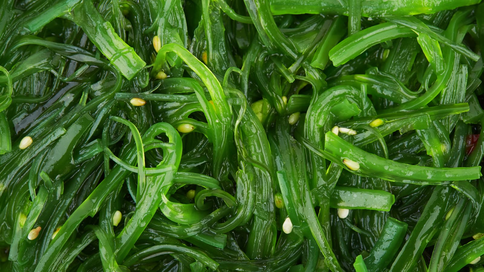 15 Facts About Seaweed - OhMyFacts