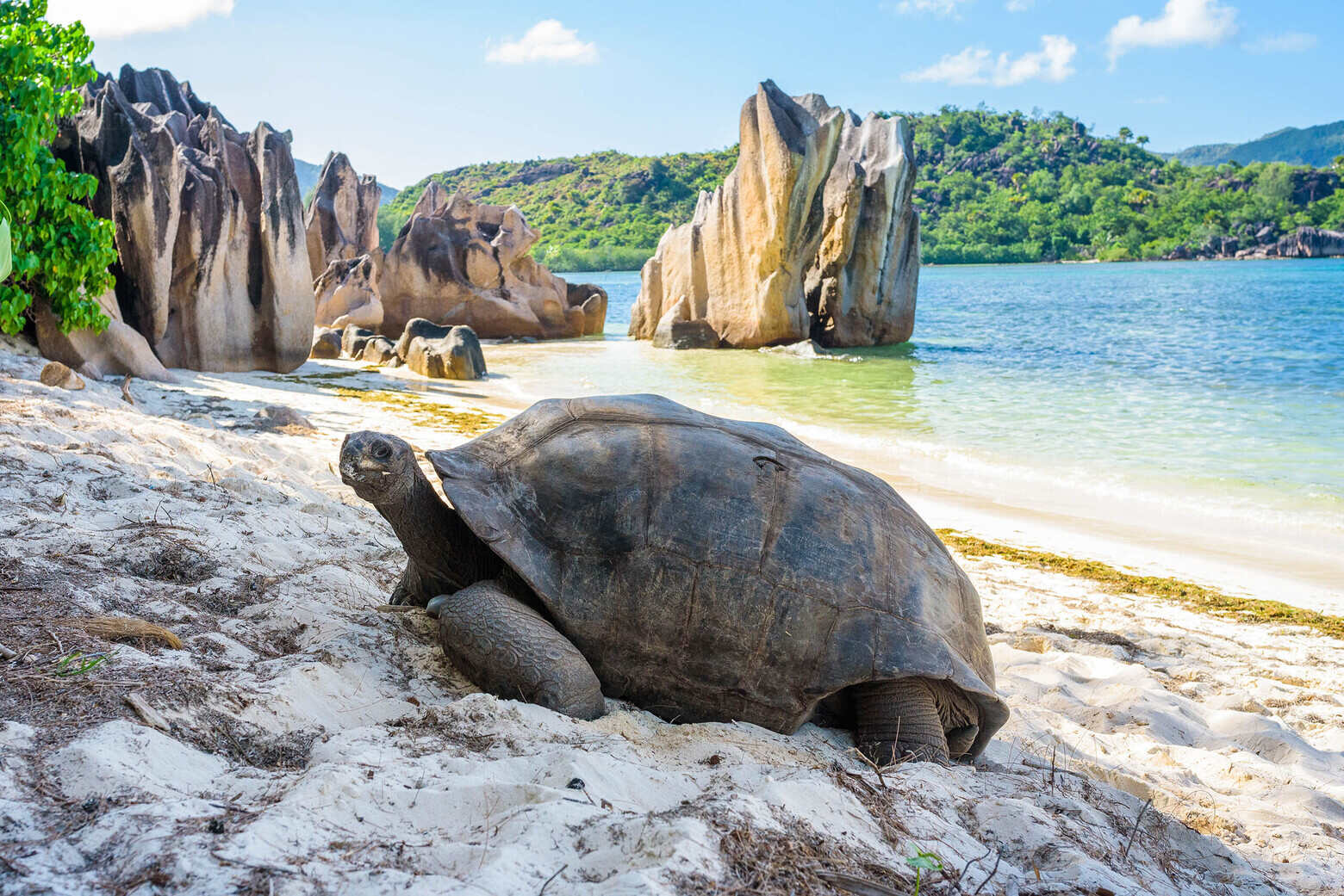 15-facts-about-seychelles