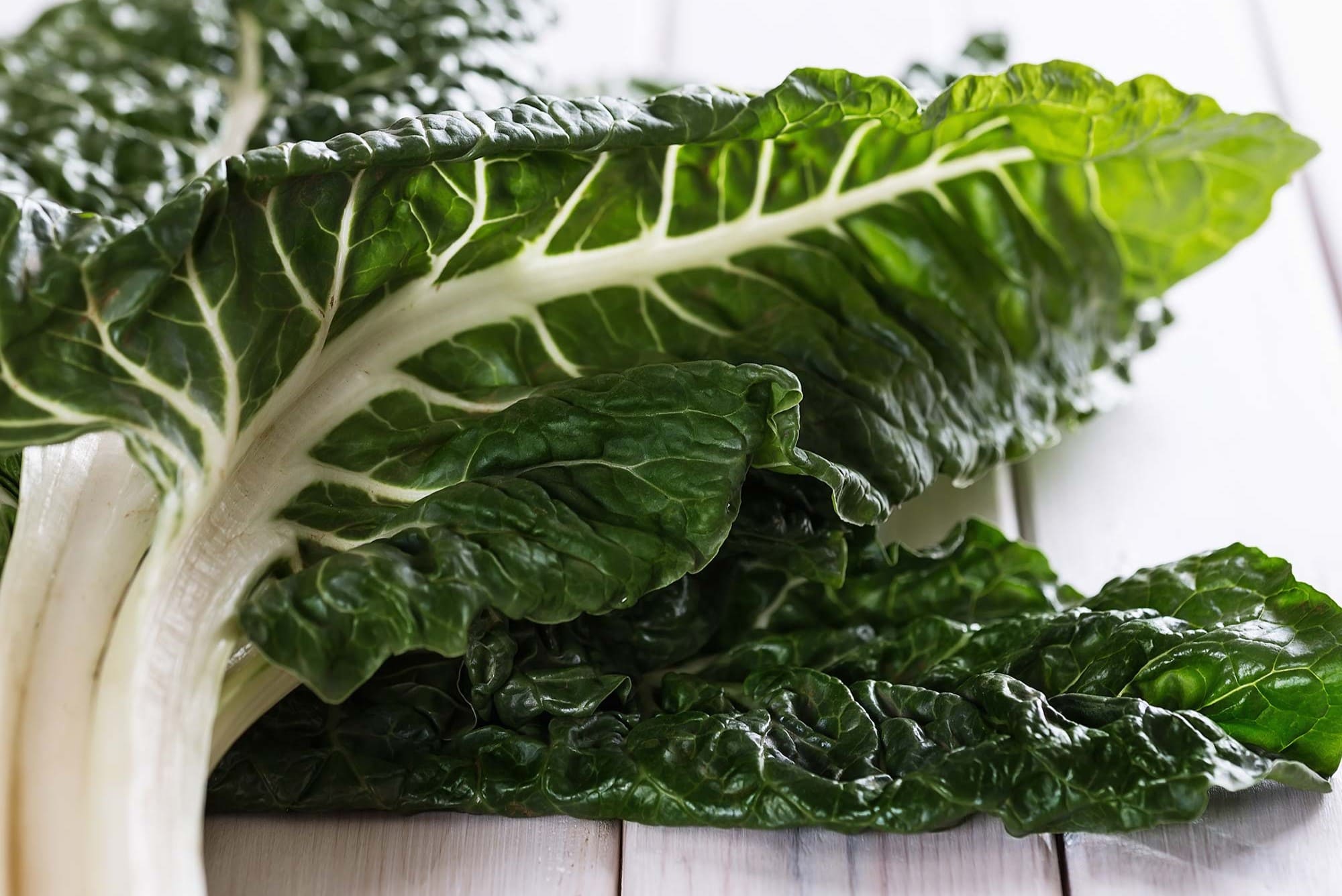 15-facts-about-silverbeet