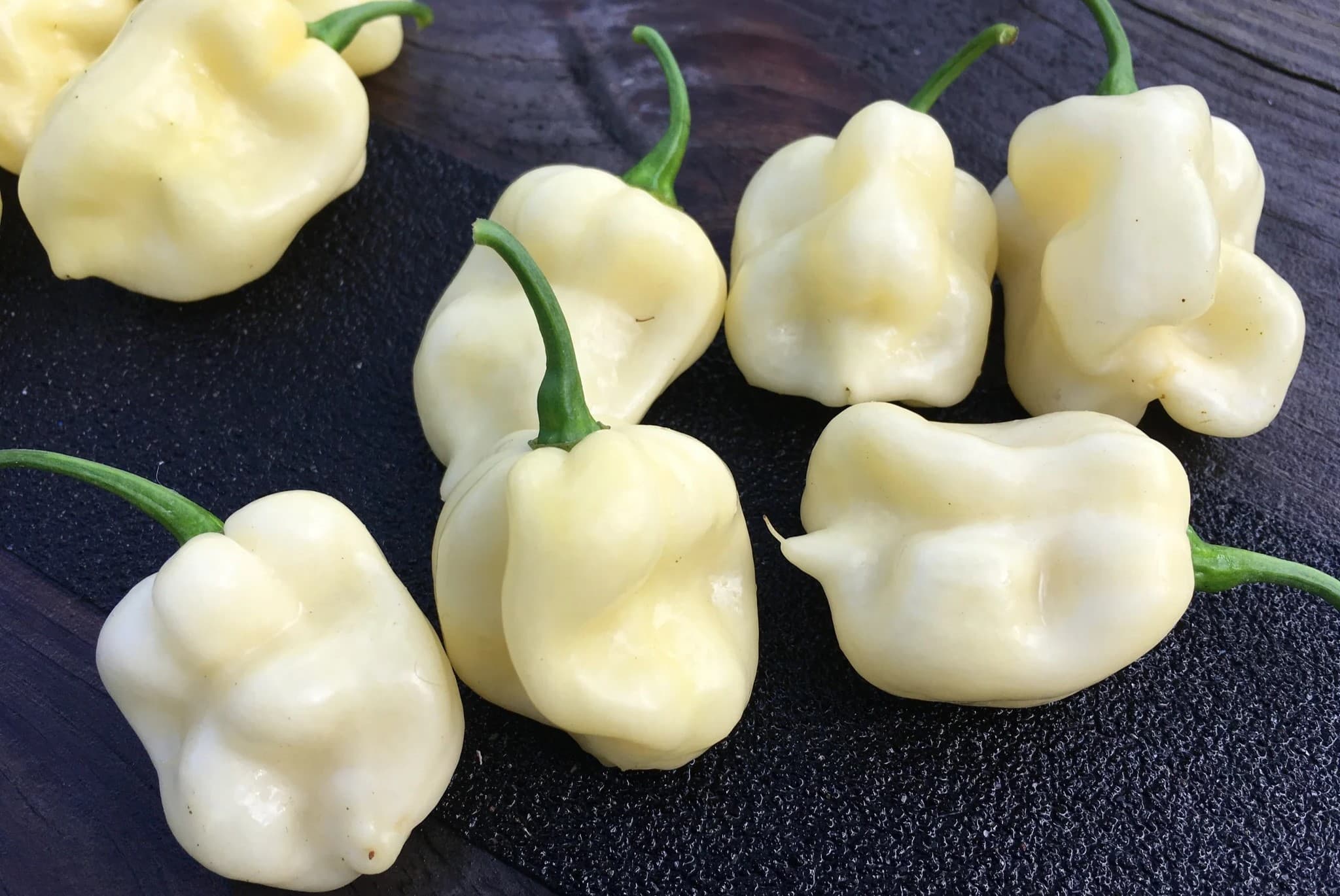 15-facts-about-white-7-pot-pepper