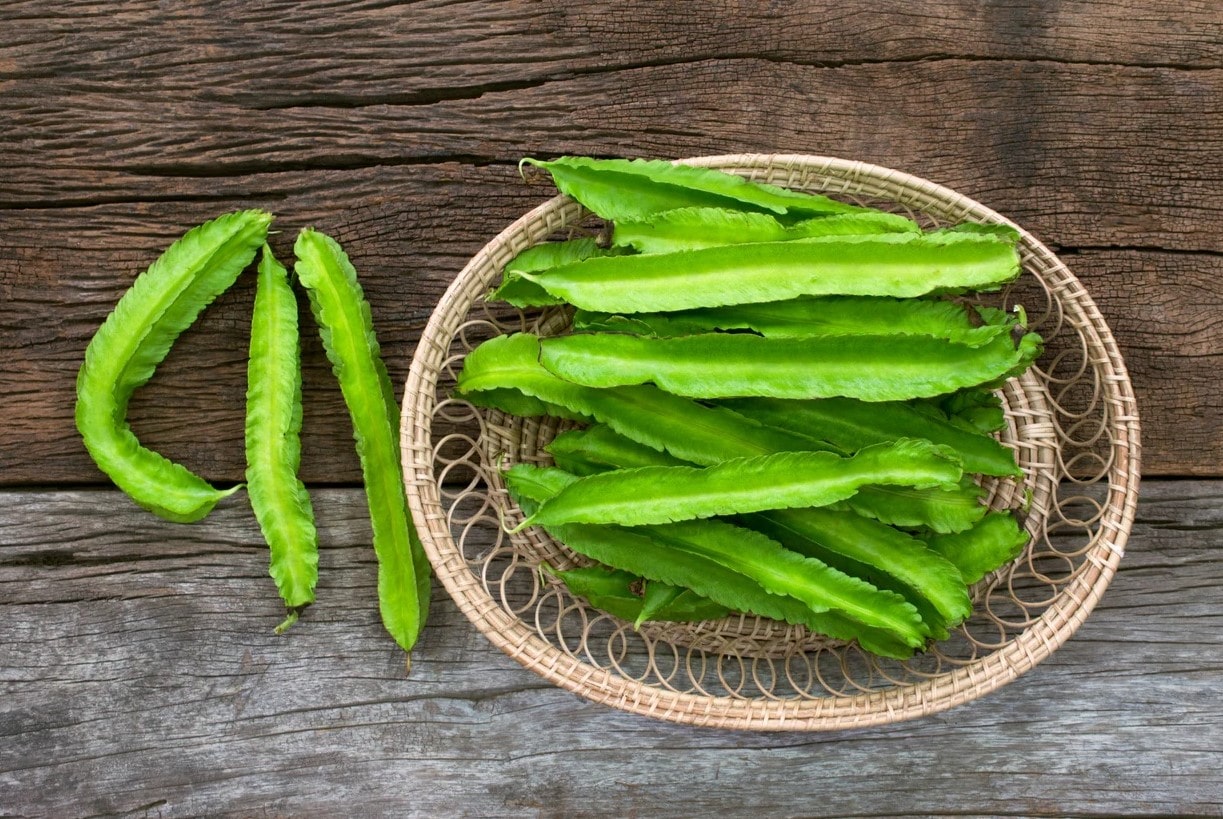 15-facts-about-winged-pea