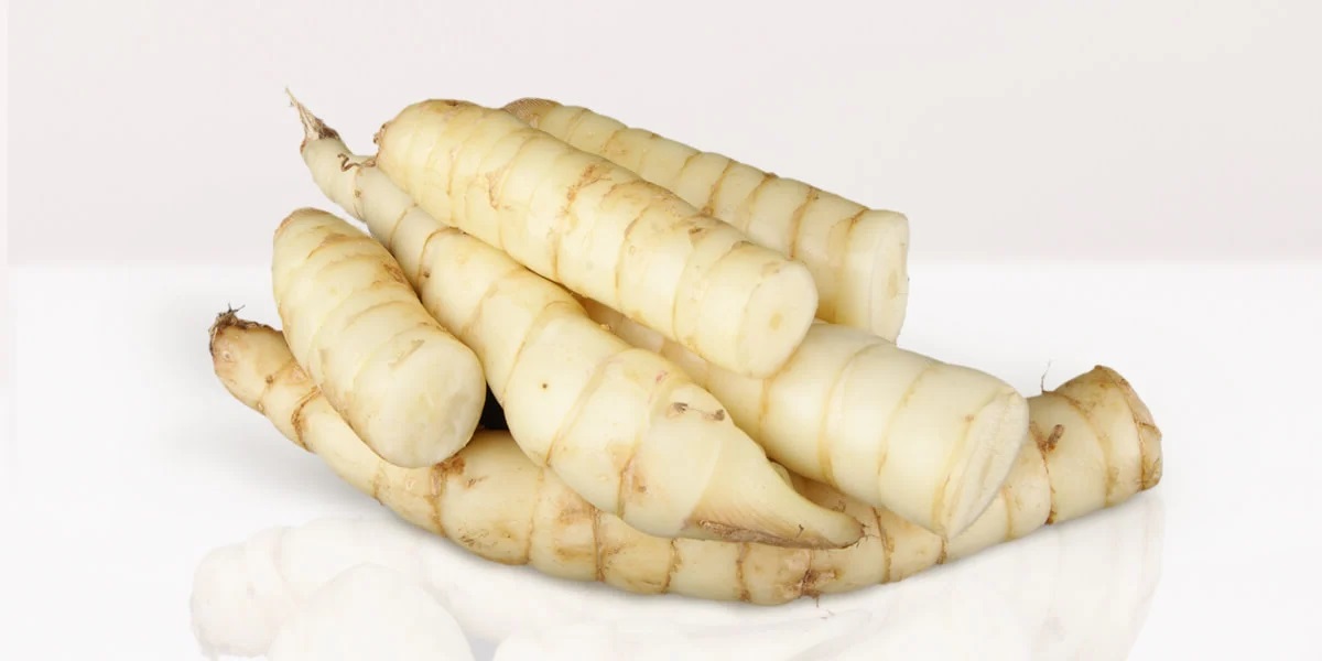 20-facts-about-arrowroot