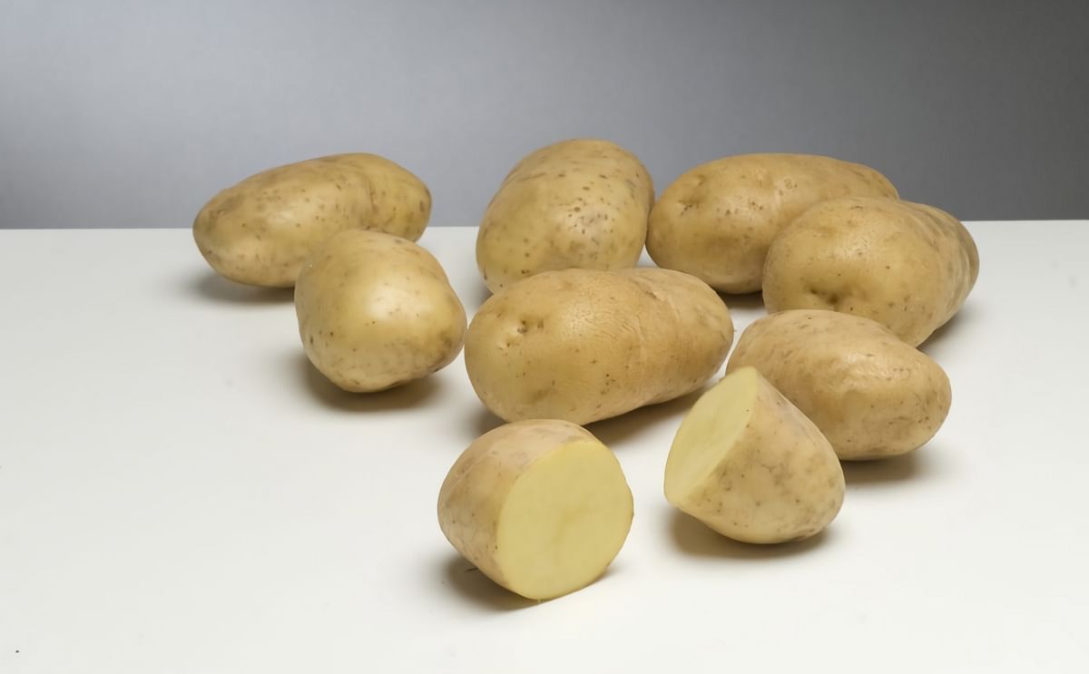 20-facts-about-bintje-potato