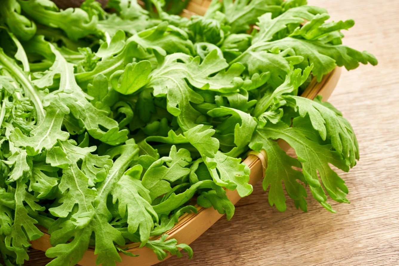 20-facts-about-chrysanthemum-greens