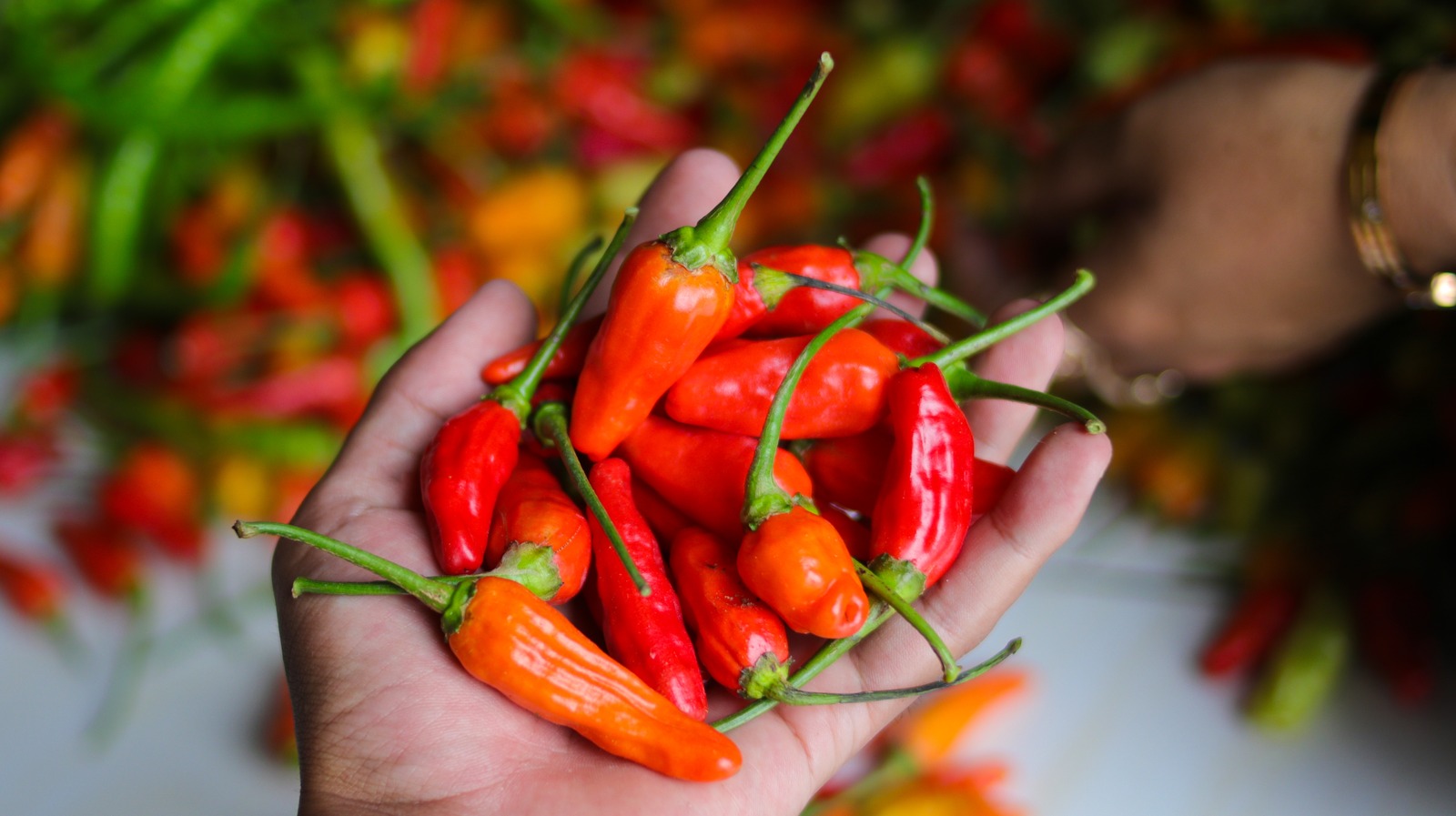 20-facts-about-datil-pepper