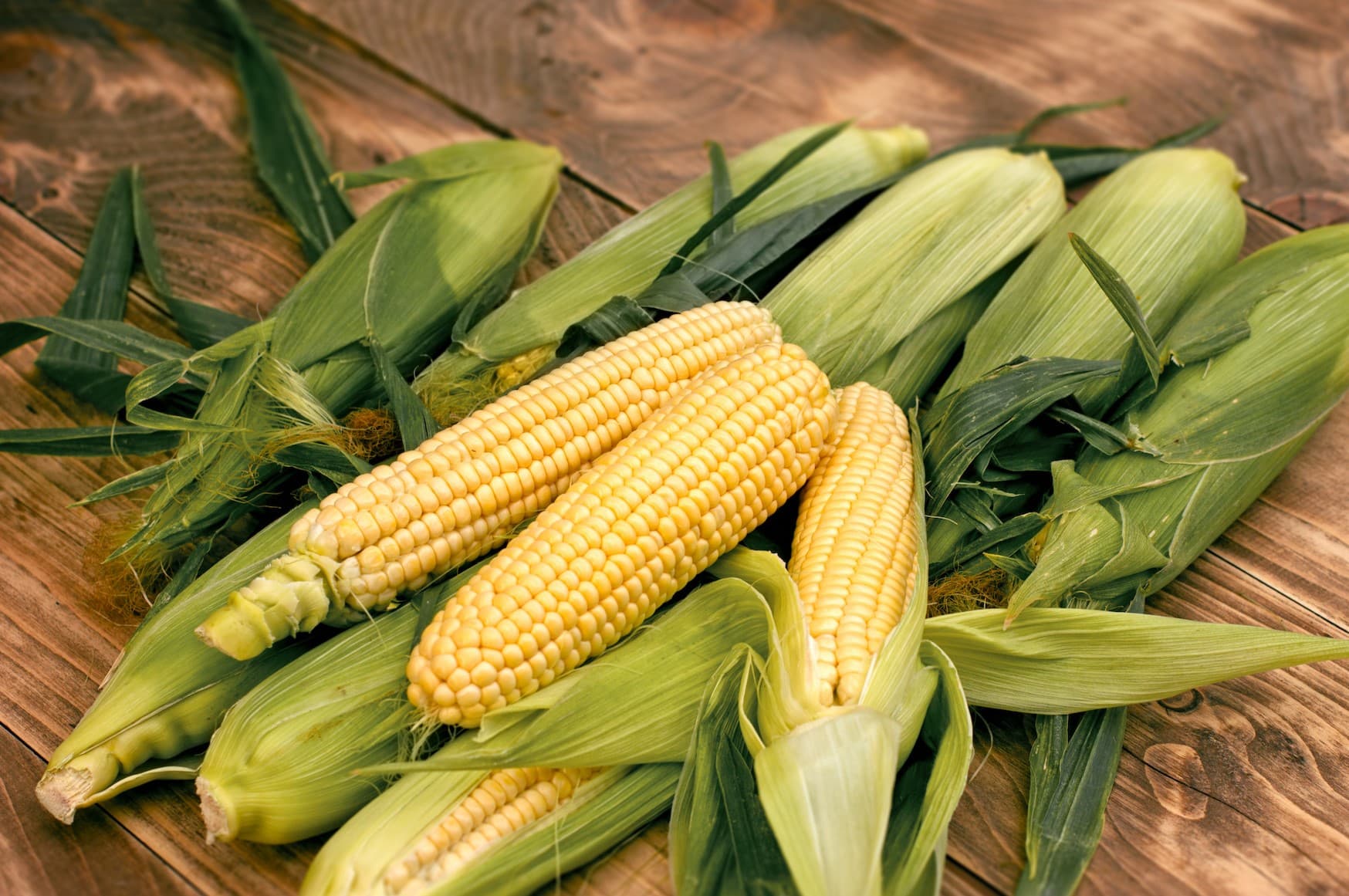 20-facts-about-delaware-sweet-corn