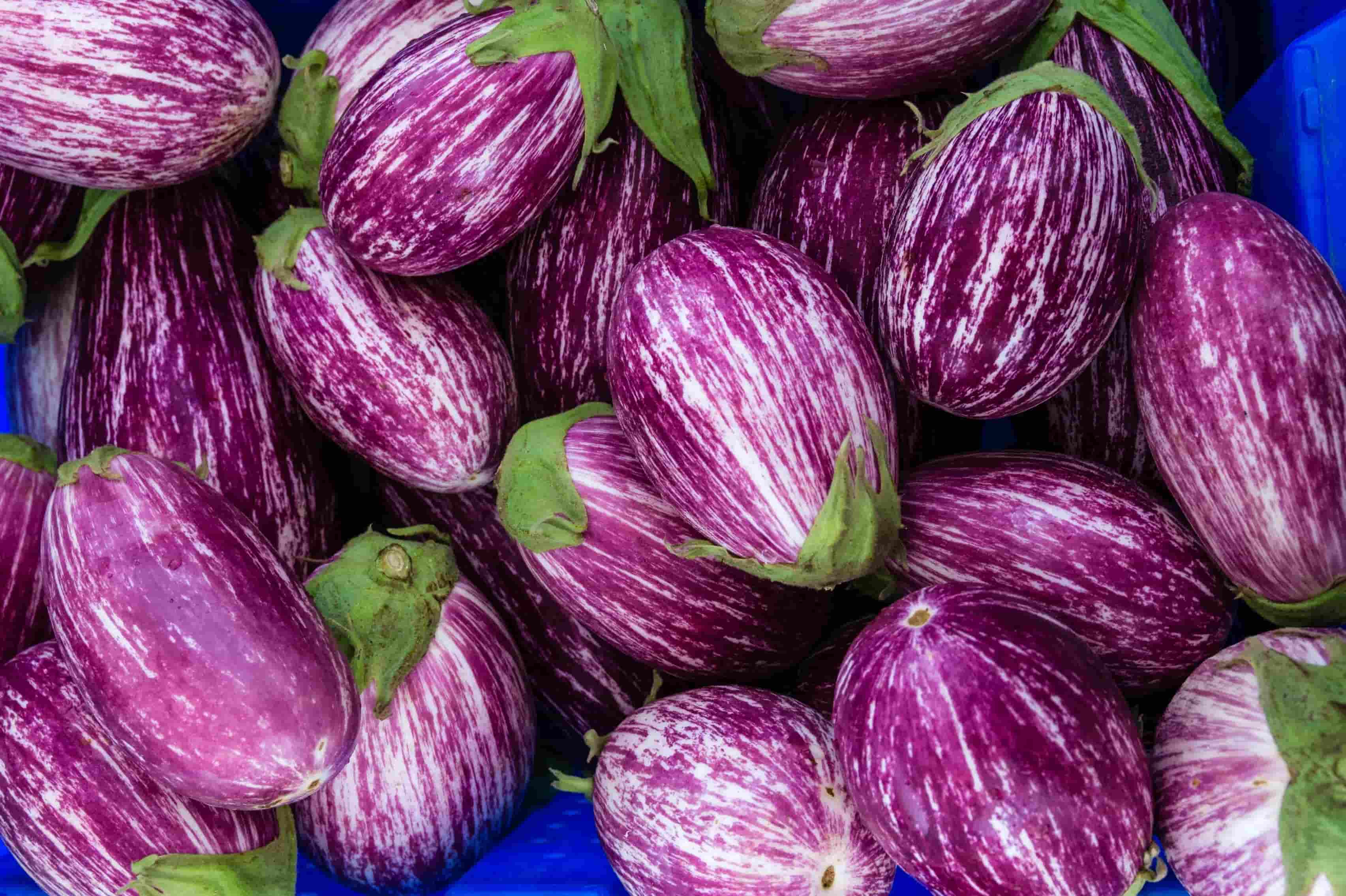 20-facts-about-fairy-tale-eggplant