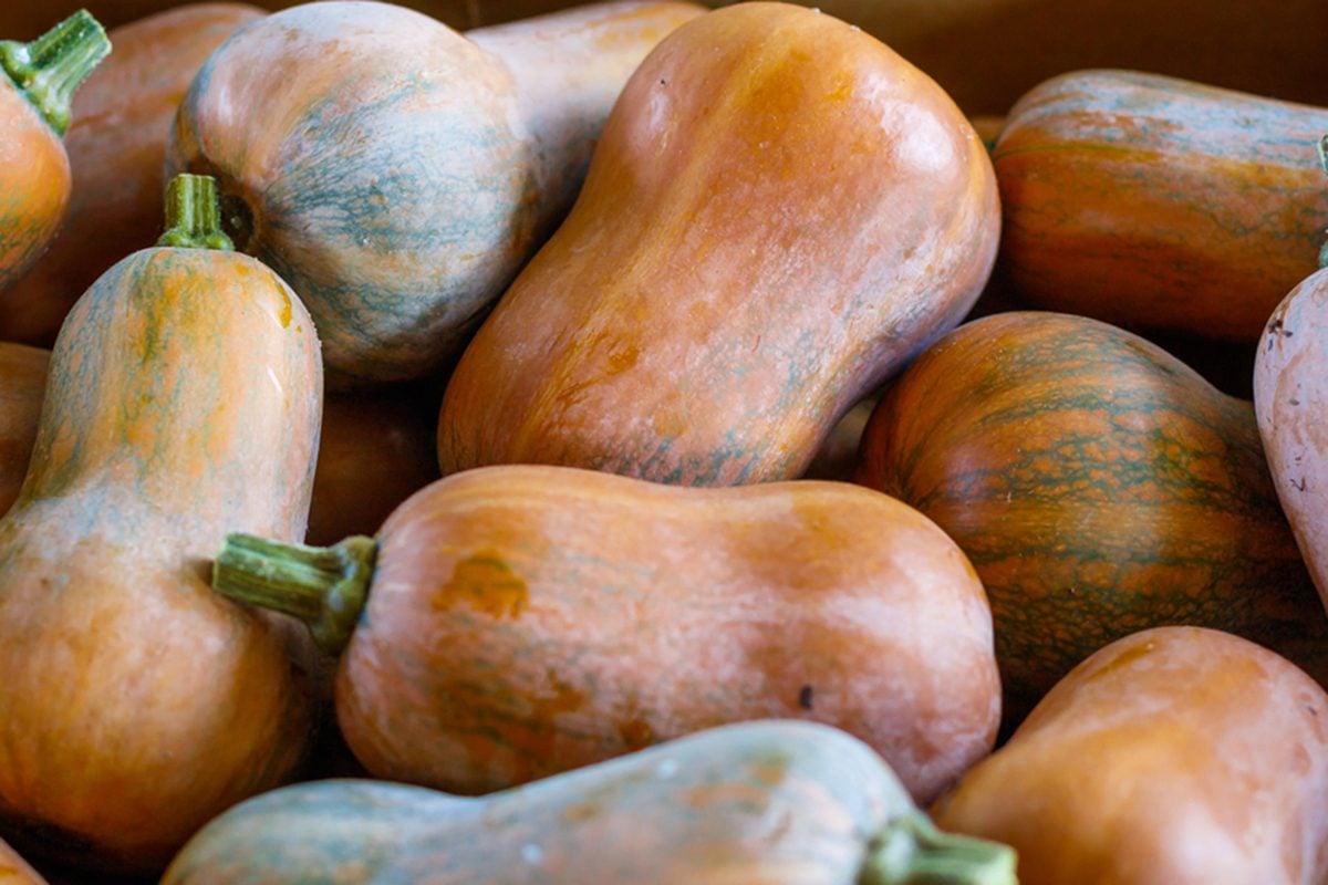 20-facts-about-honeynut-squash