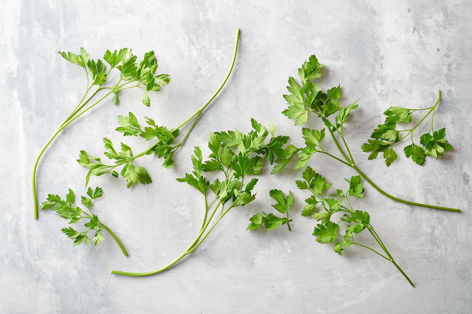 20-facts-about-italian-parsley