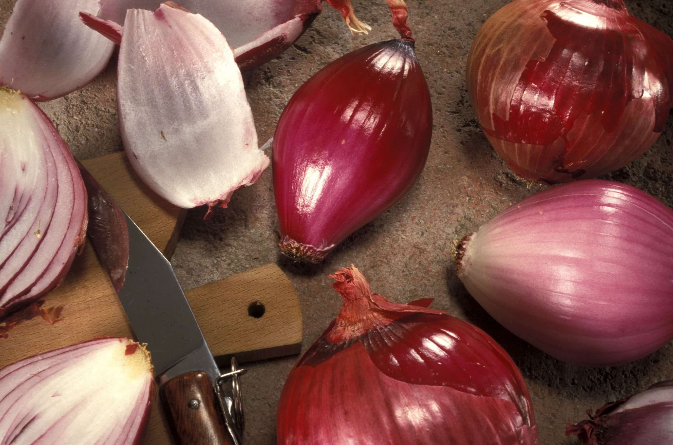 20-facts-about-italian-red-onion