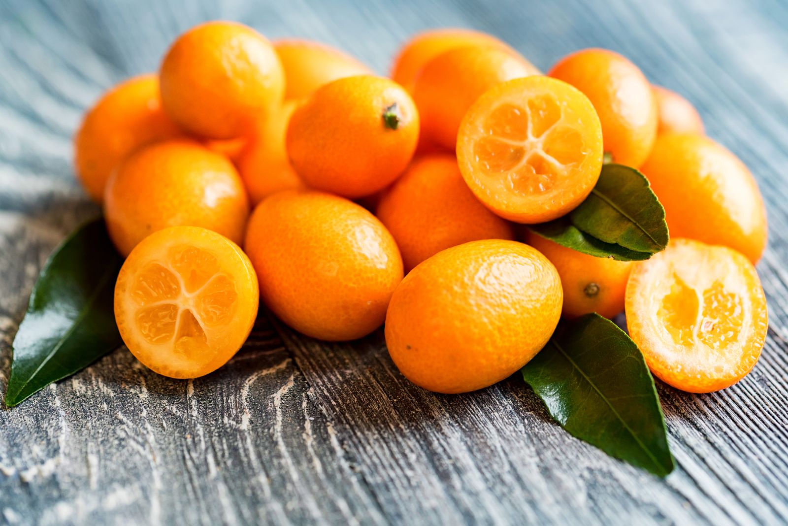 20-facts-about-kumquat