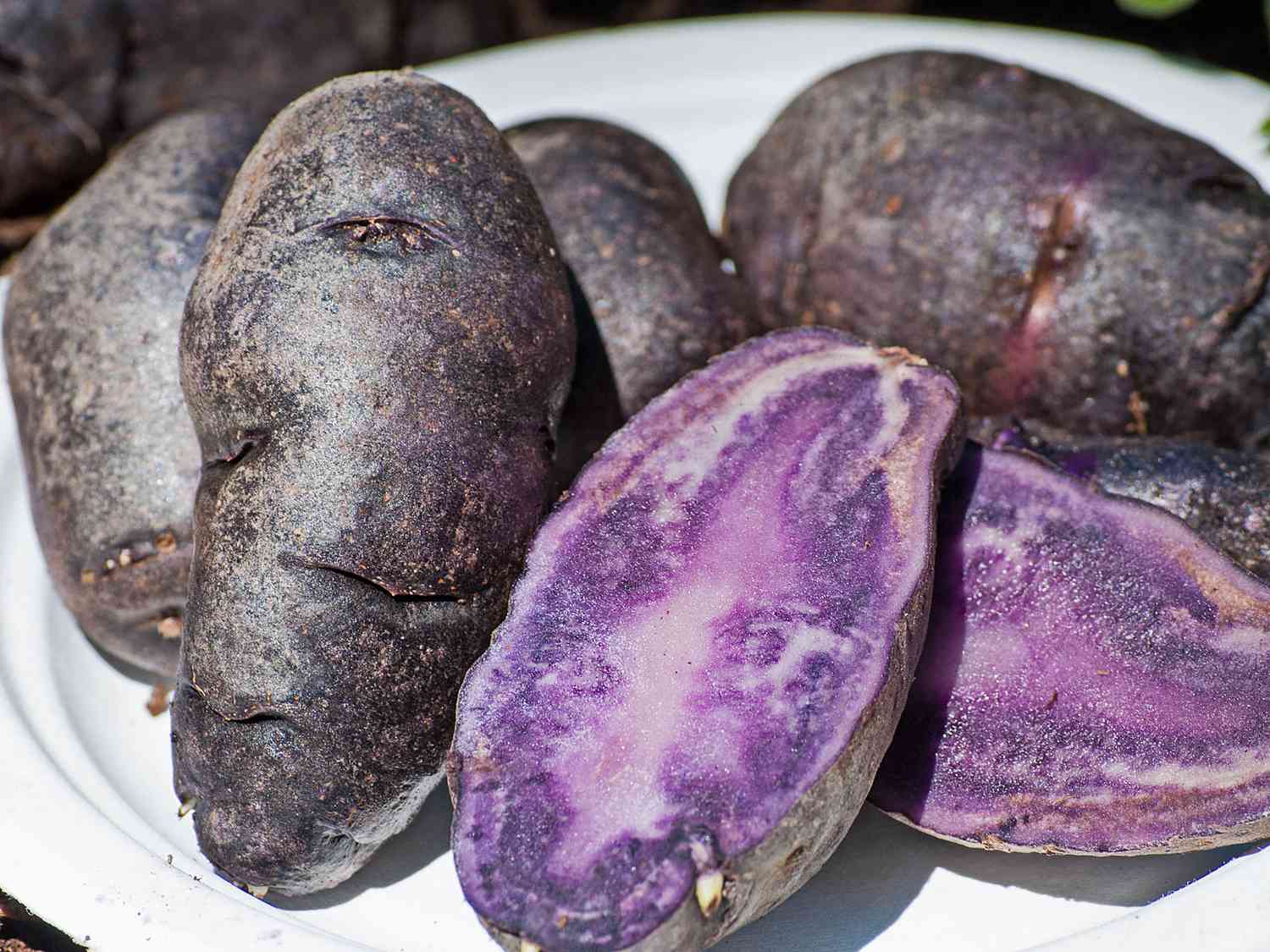 20-facts-about-peruvian-purple-potato